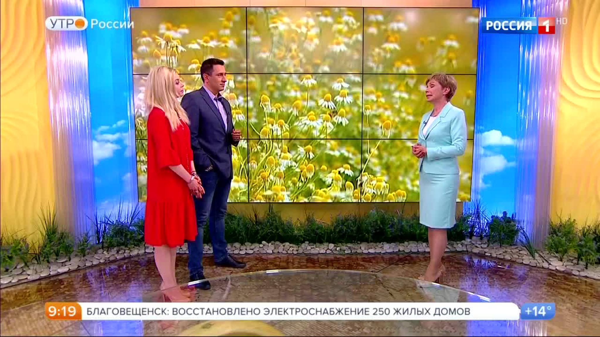 Эфир от 10.07.2017