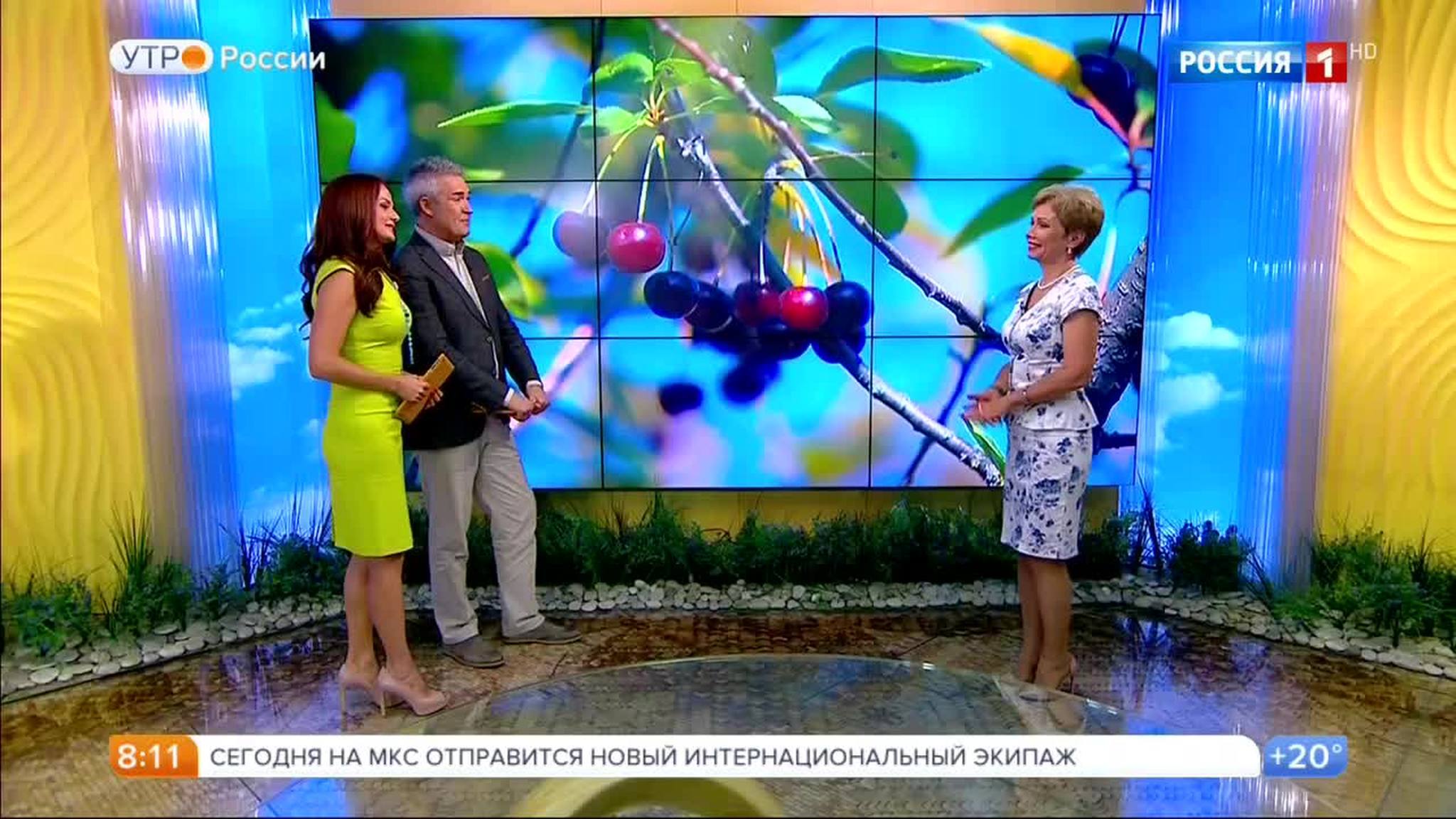 Эфир от 28.07.2017