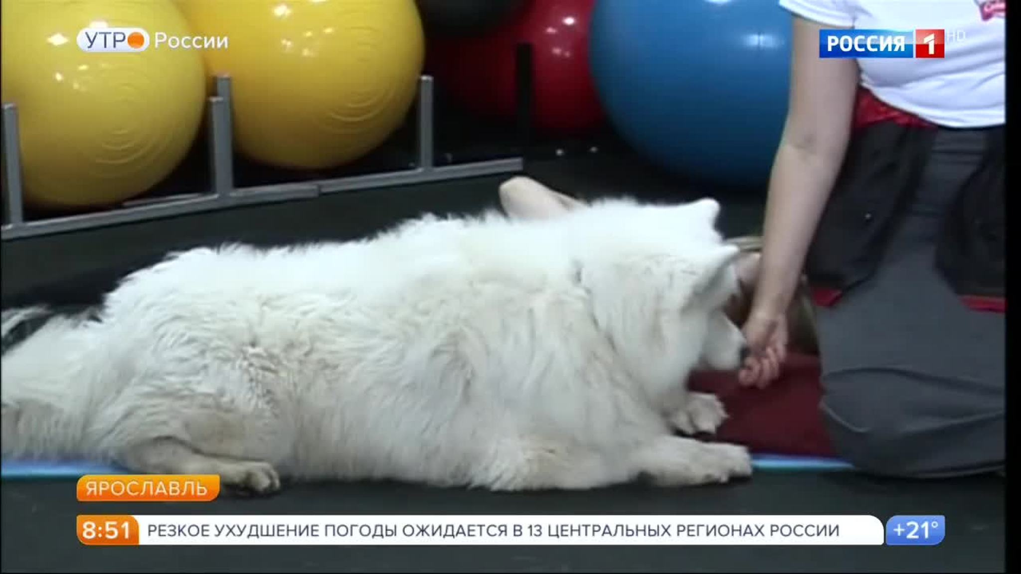 Эфир от 01.08.2017