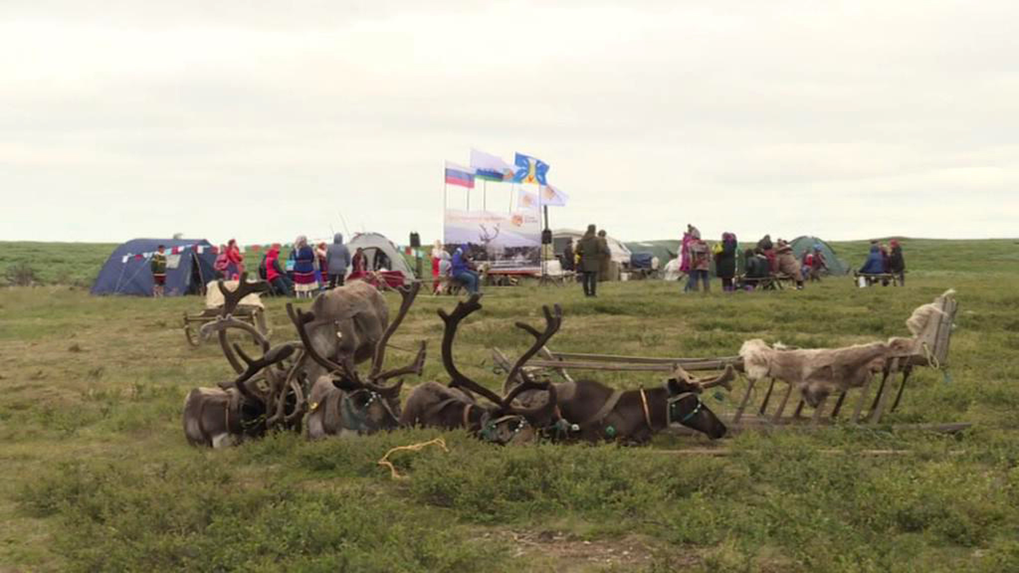 В ненецкой тундре открылся кочевой детский сад