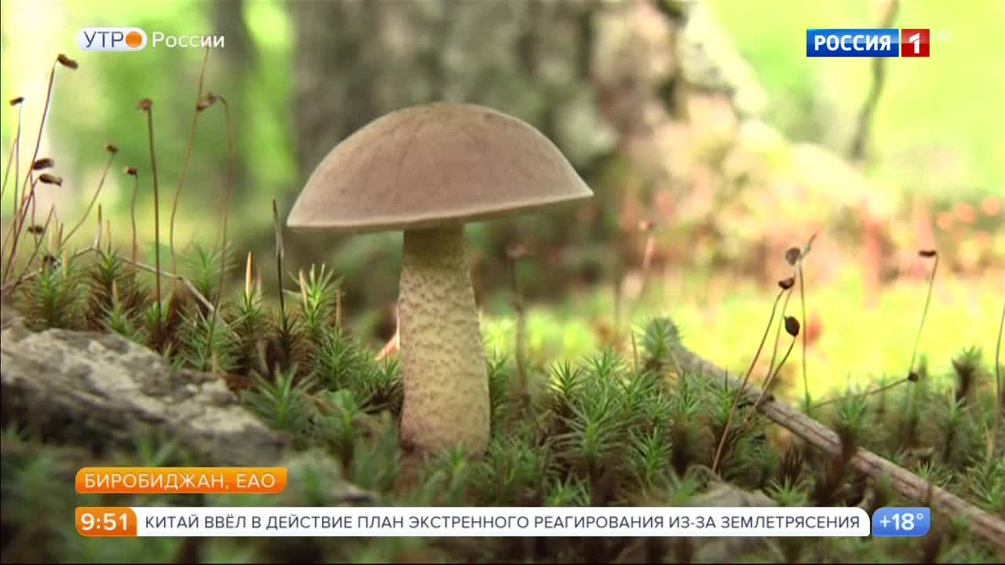 Эфир от 09.08.2017
