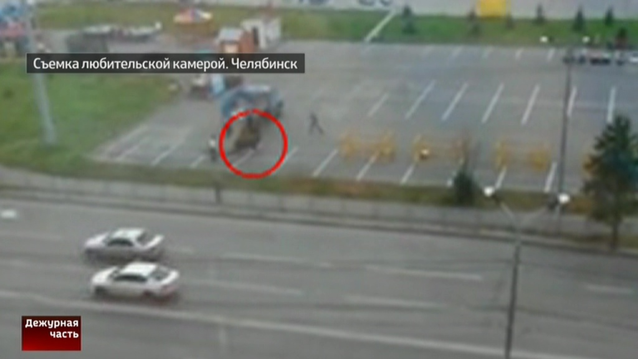 Огромный бык едва не превратил агровыставку в корриду