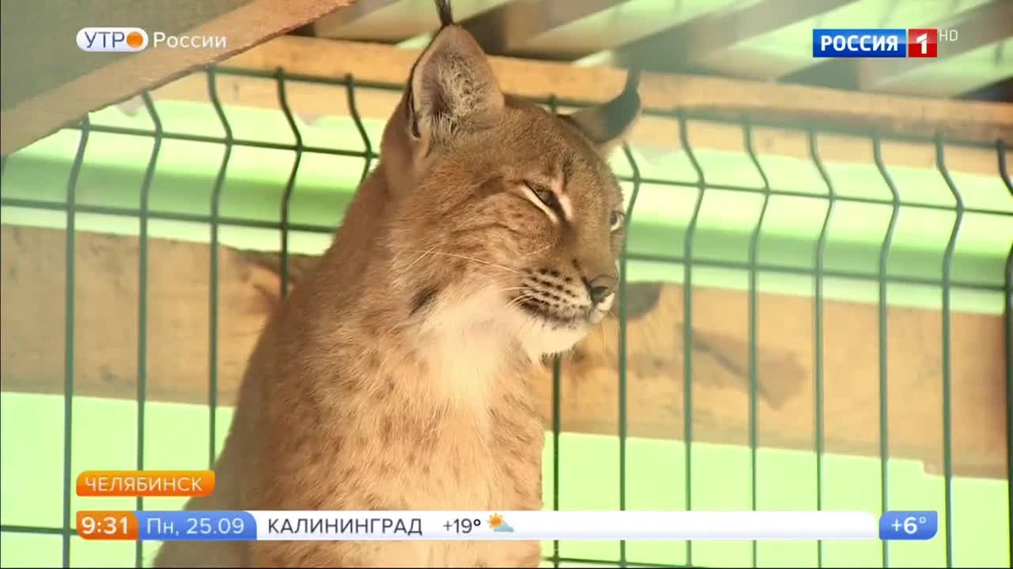 Эфир от 25.09.2017