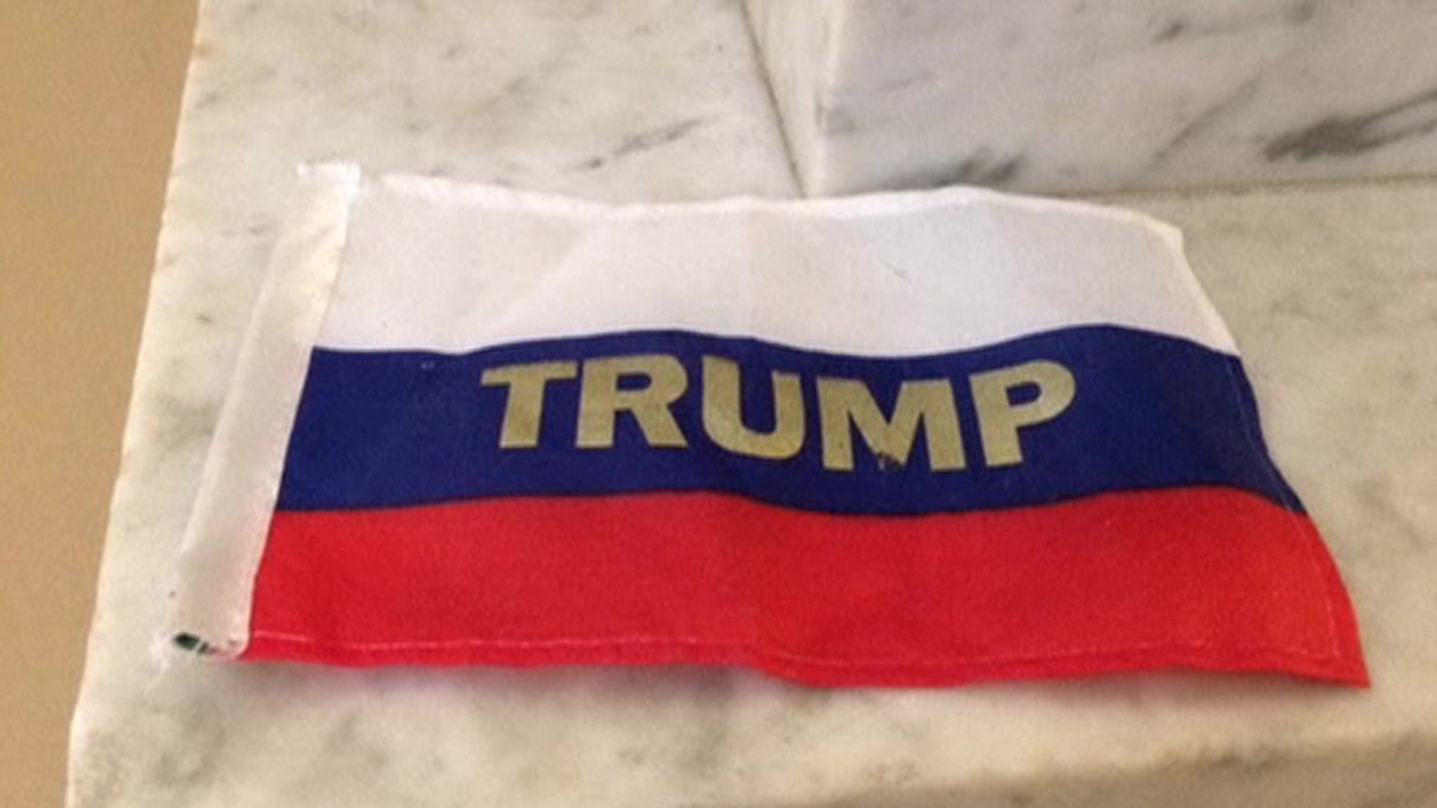 Активист закидал Трампа флажками и отправился за решетку
