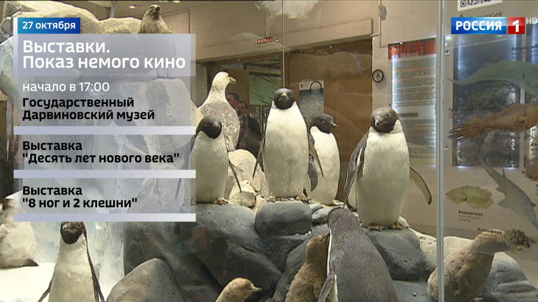Юбилей Дарвиновского музея, конная выставка и фестиваль мультфильмов: куда пойти в выходные?