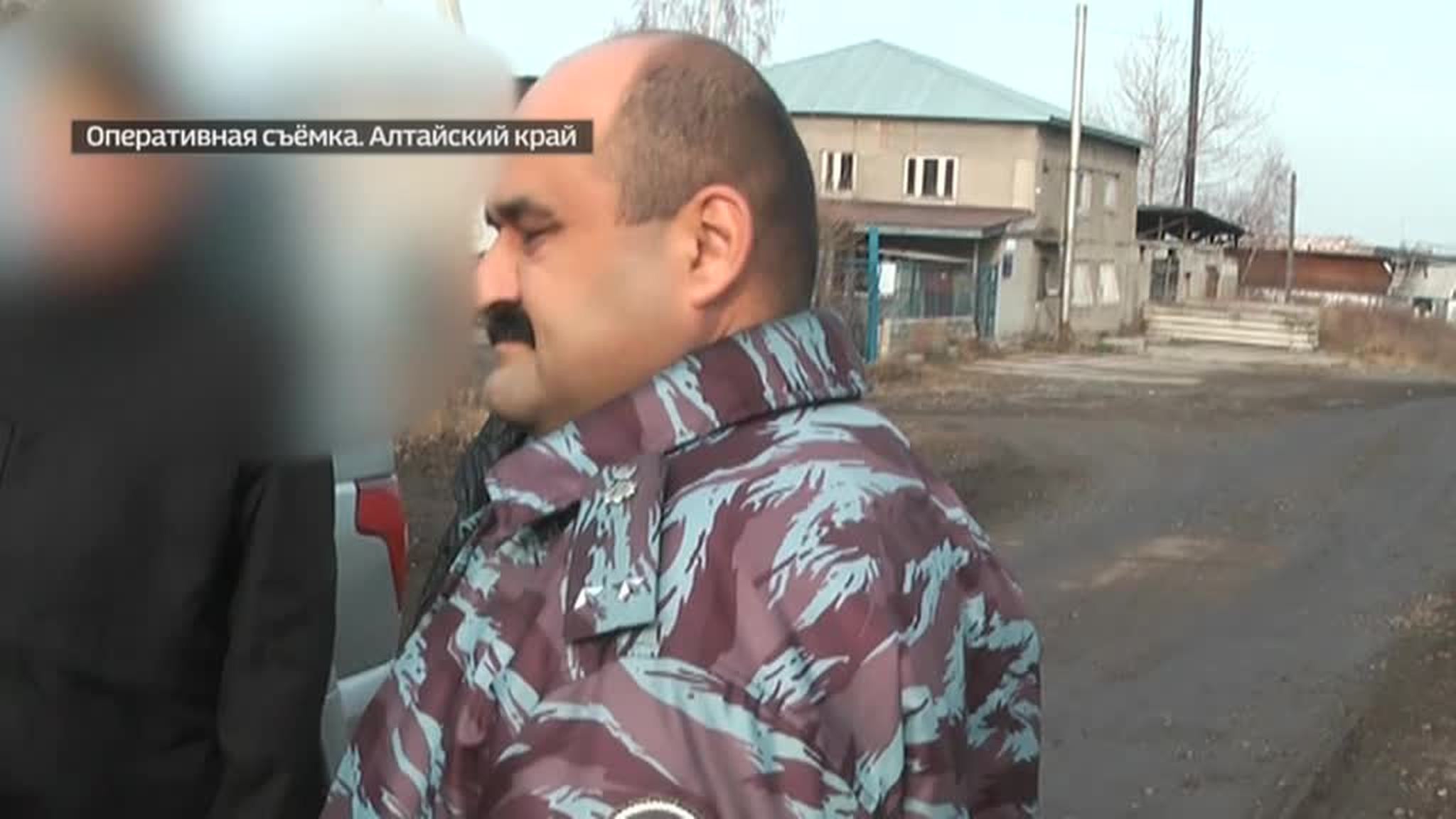 На Алтае осужденные рубили для начальника колонии лес на продажу