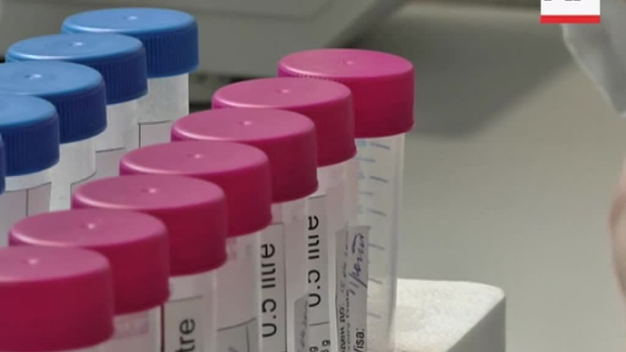 RF Investigative Committee Finds That WADA Doping Accusations Were Based on Fake Evidence and Demands the Mole  Extradition