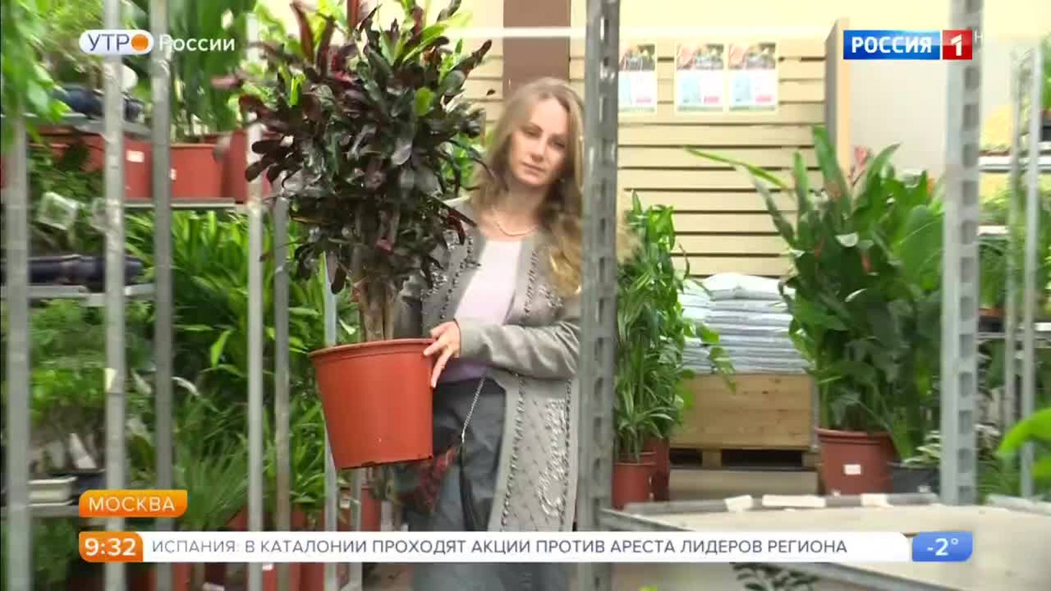 Эфир от 09.11.2017