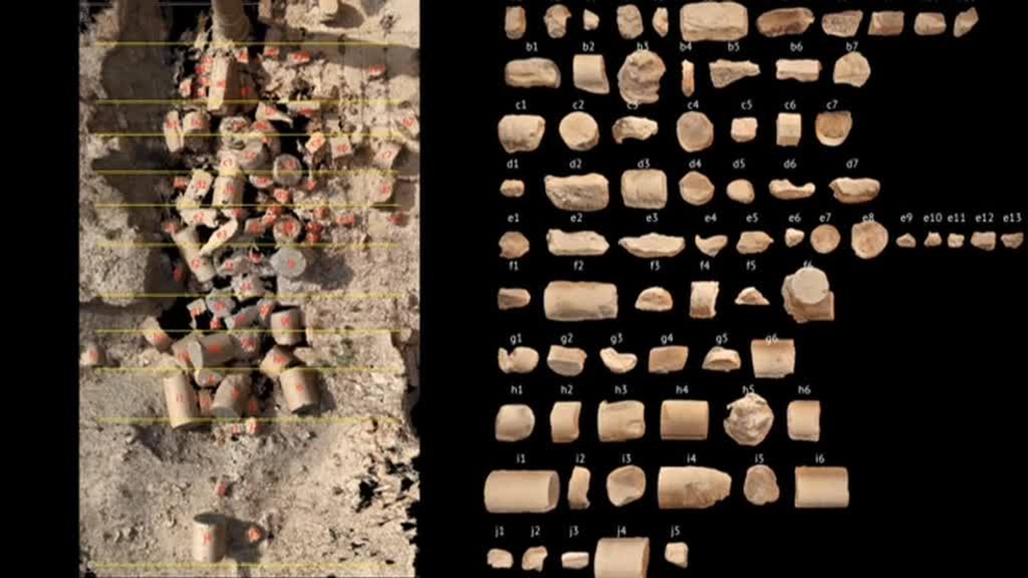 Russian Specialist Team Creates Ambitious 3D Model to Restore Ruined City of Palmyra