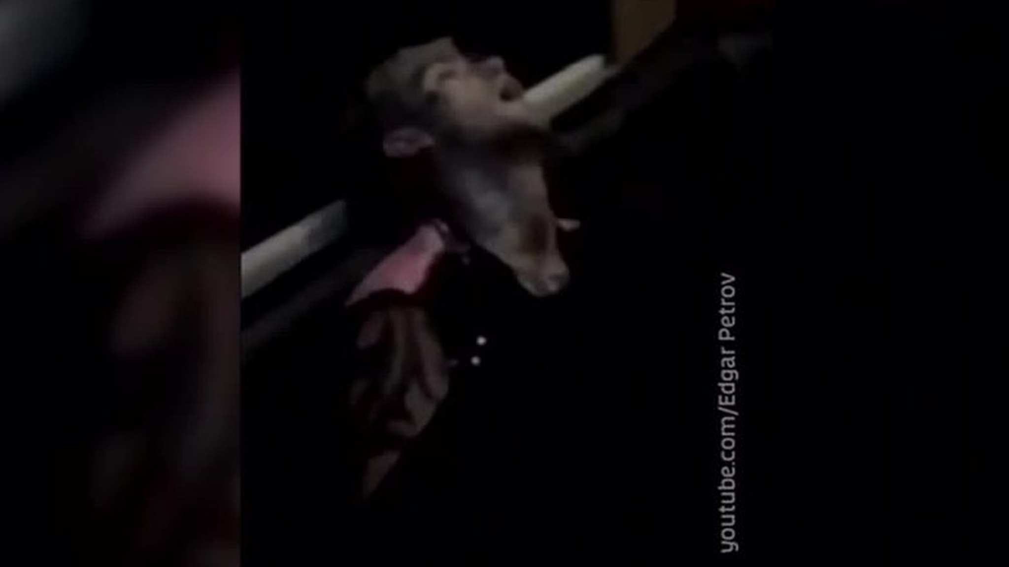 Рэпер Lil Peep умер от передозировки
