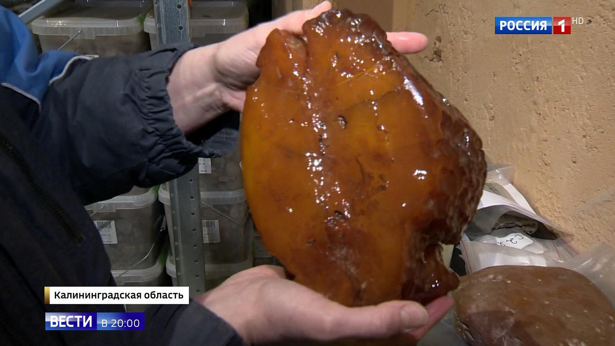 Kaliningrad’s Amber Mines Are Producing Record-Breaking Exquisite and Expensive “Sunny Stones∎