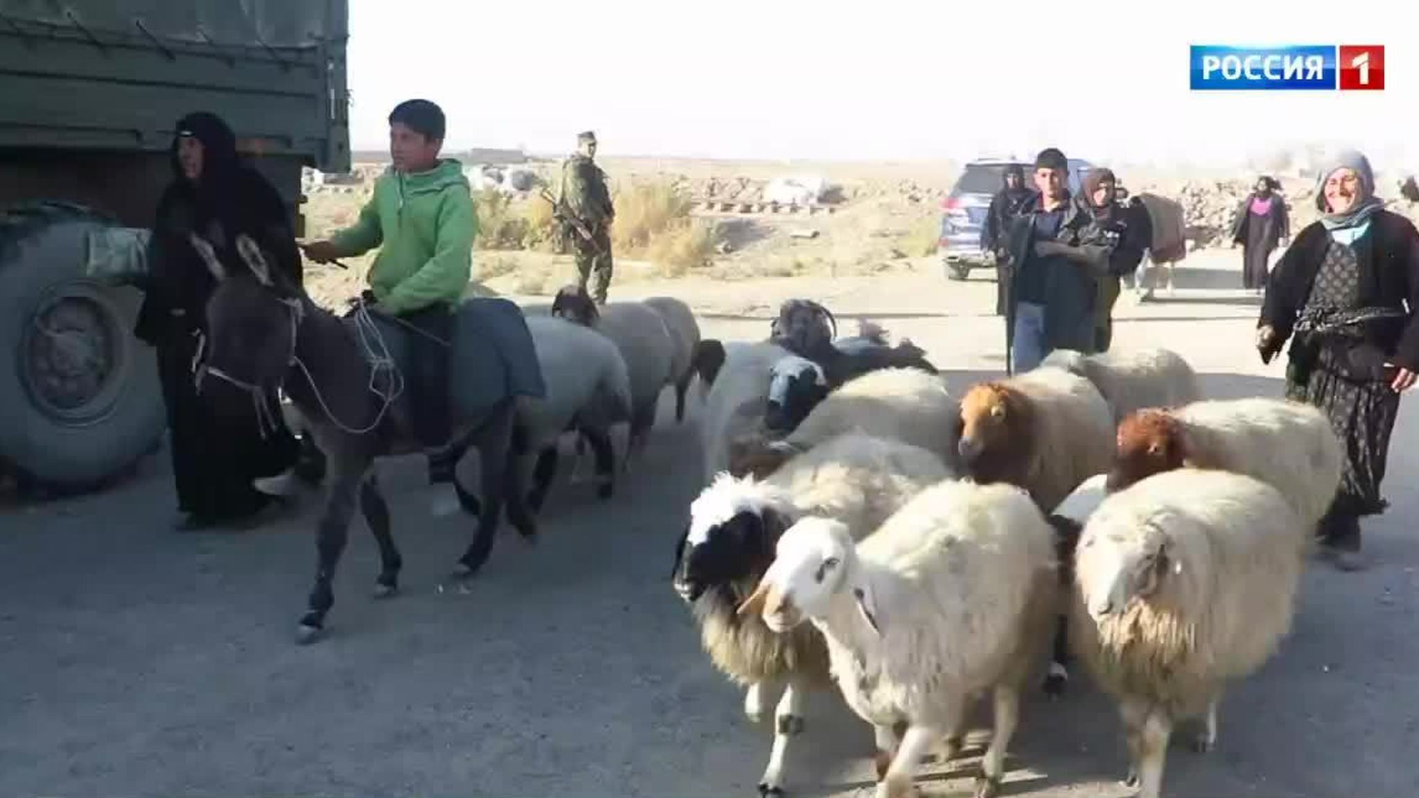 Refugees Trickle Back to Their Home Province of Deir ez-Zor as Dust Settles in Syria