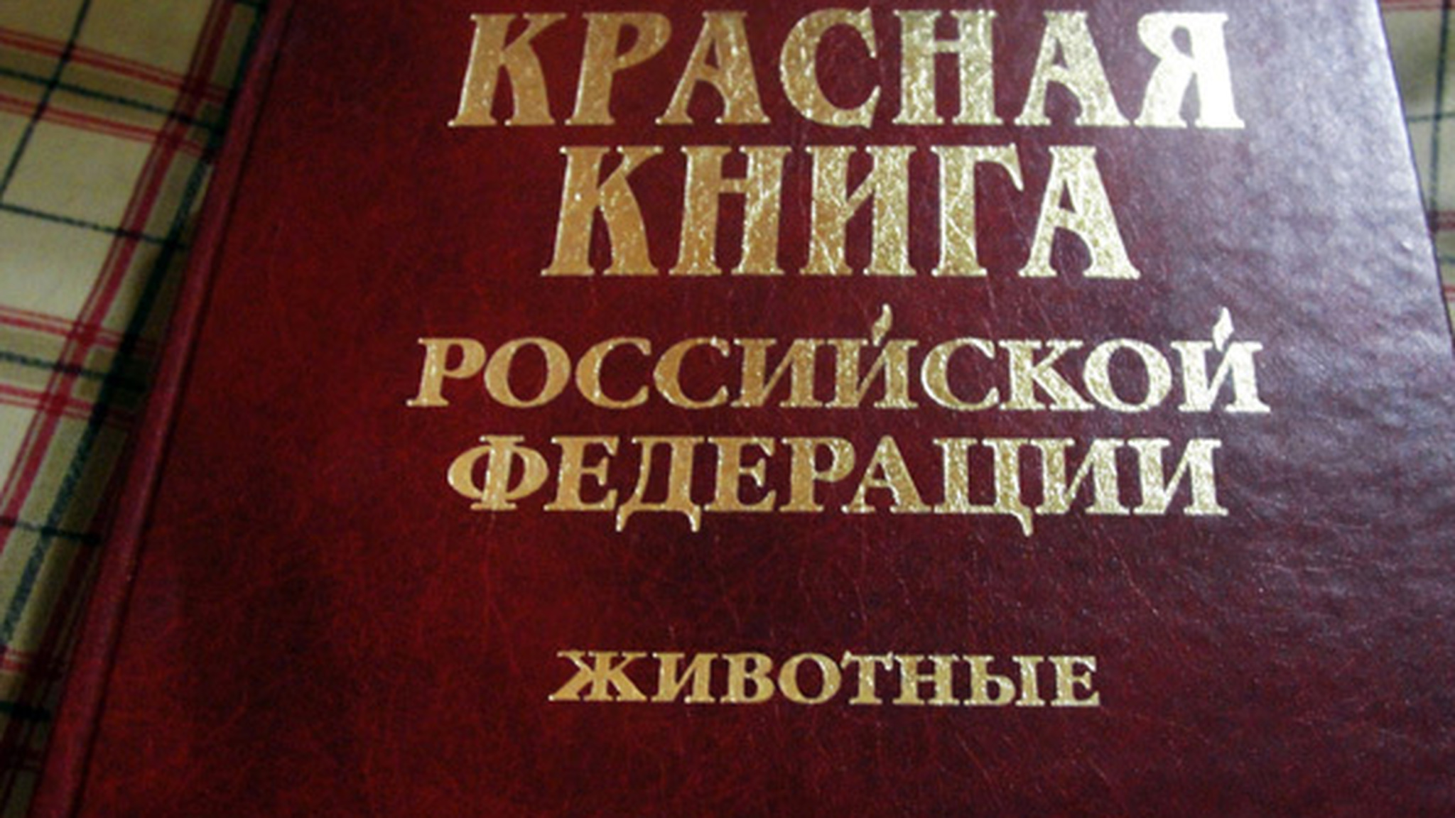 В России готовится новый вариант Красной книги