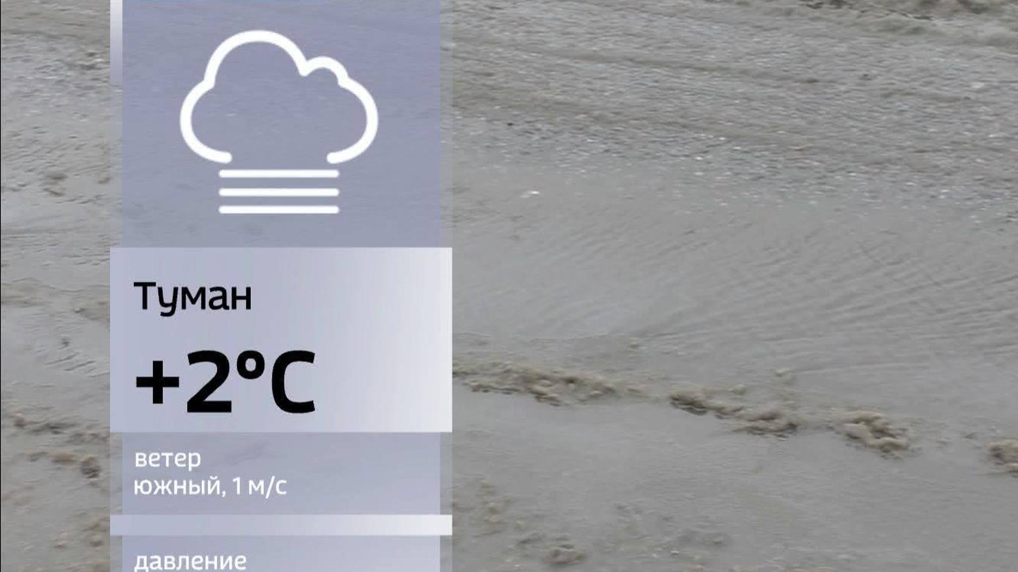 Москва оказалась во власти аномального потепления