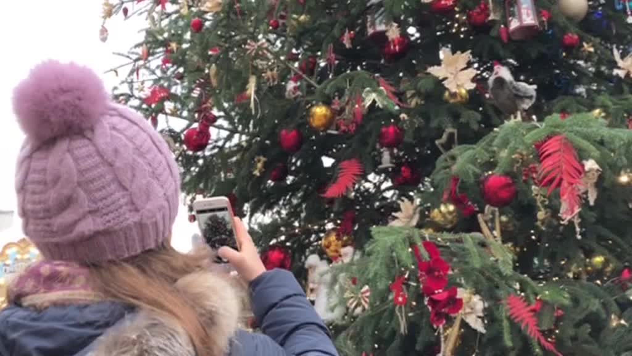 В Москве перед Новым годом растаял весь снег