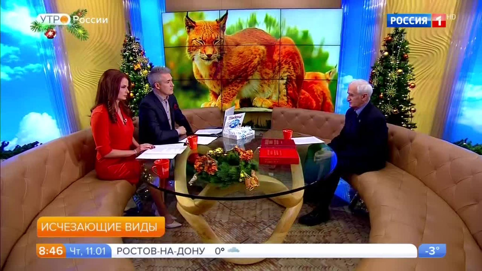 Эфир от 11.01.2018