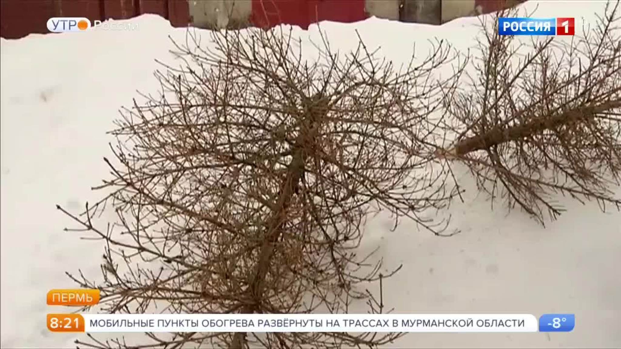 Эфир от 16.01.2018