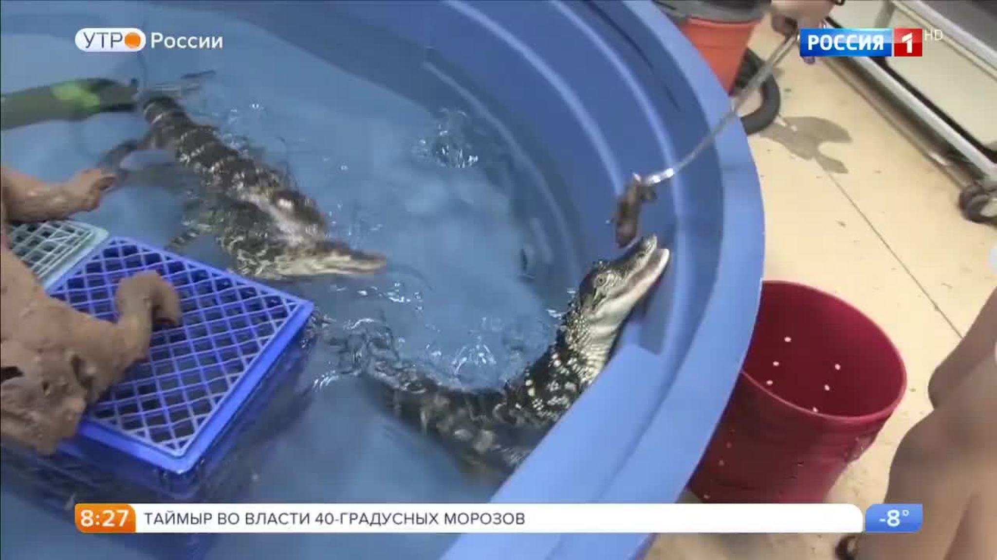 Эфир от 16.01.2018