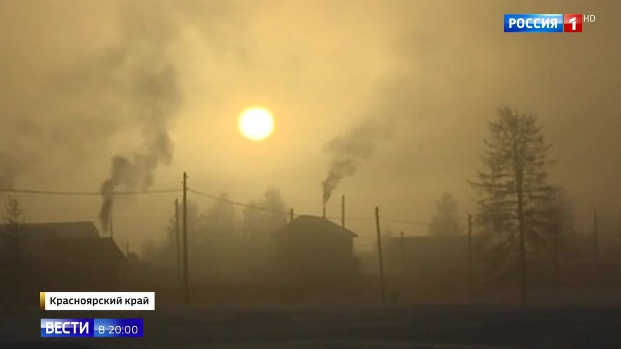 Even the Poor Animals Are Suffering - Freezing Low Temps in Russian Far East Bring Little Ice Age