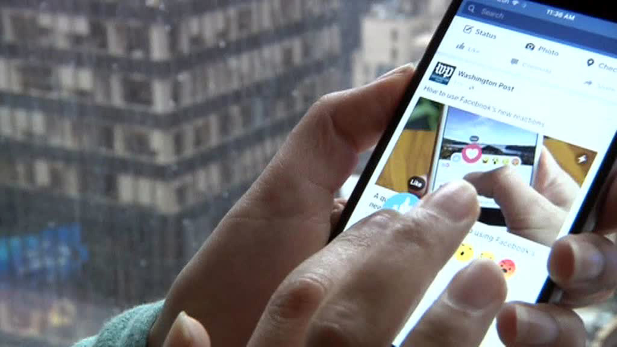Facebook: 80 тысяч постов россиян повлияли на президентские выборы в США