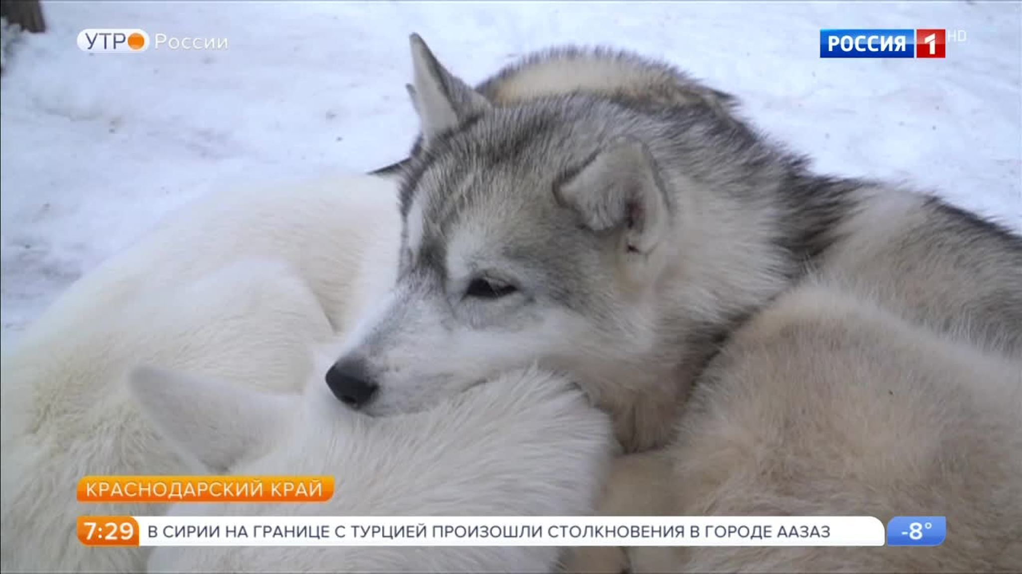 Эфир от 23.01.2018