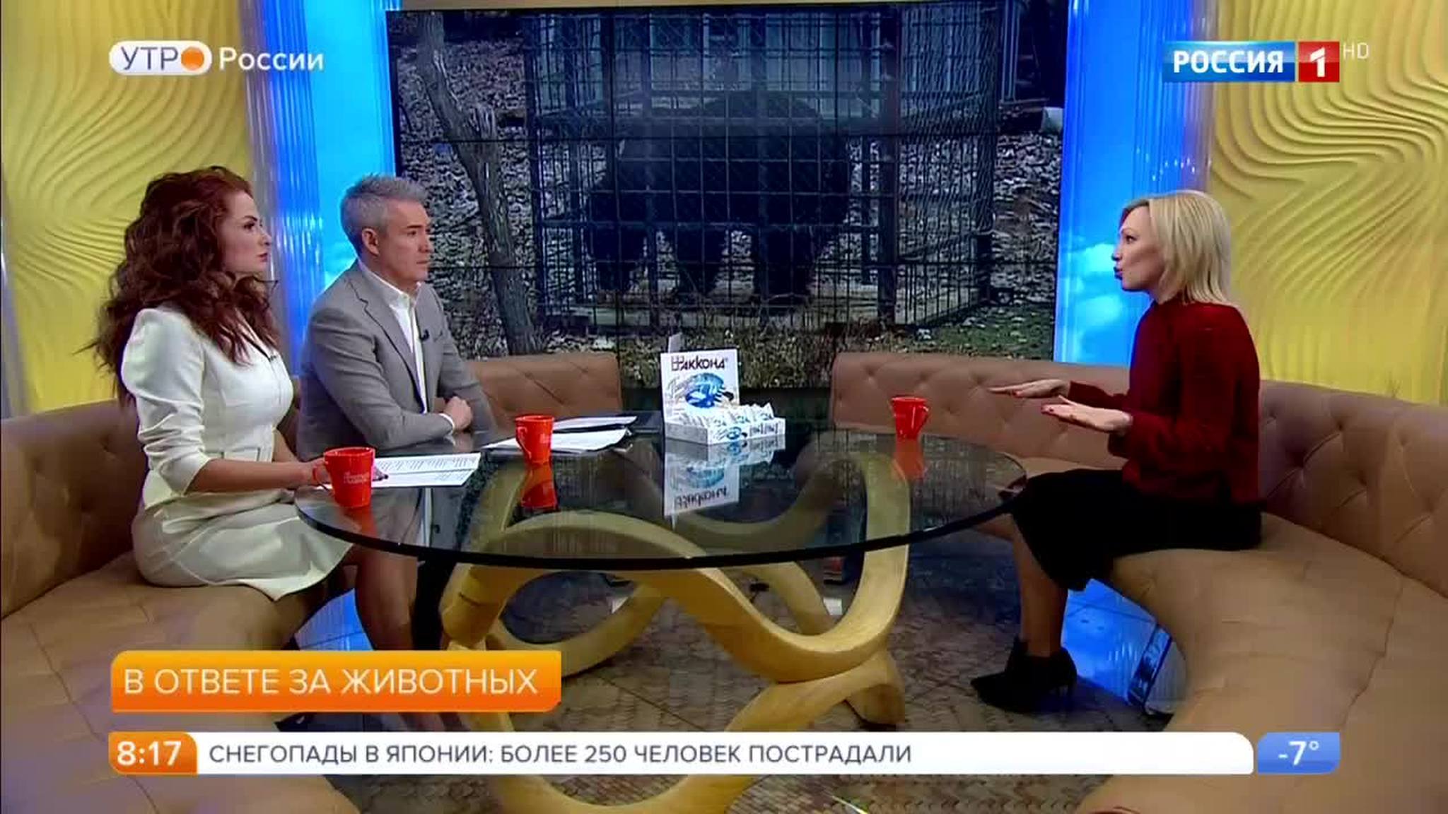 Эфир от 23.01.2018