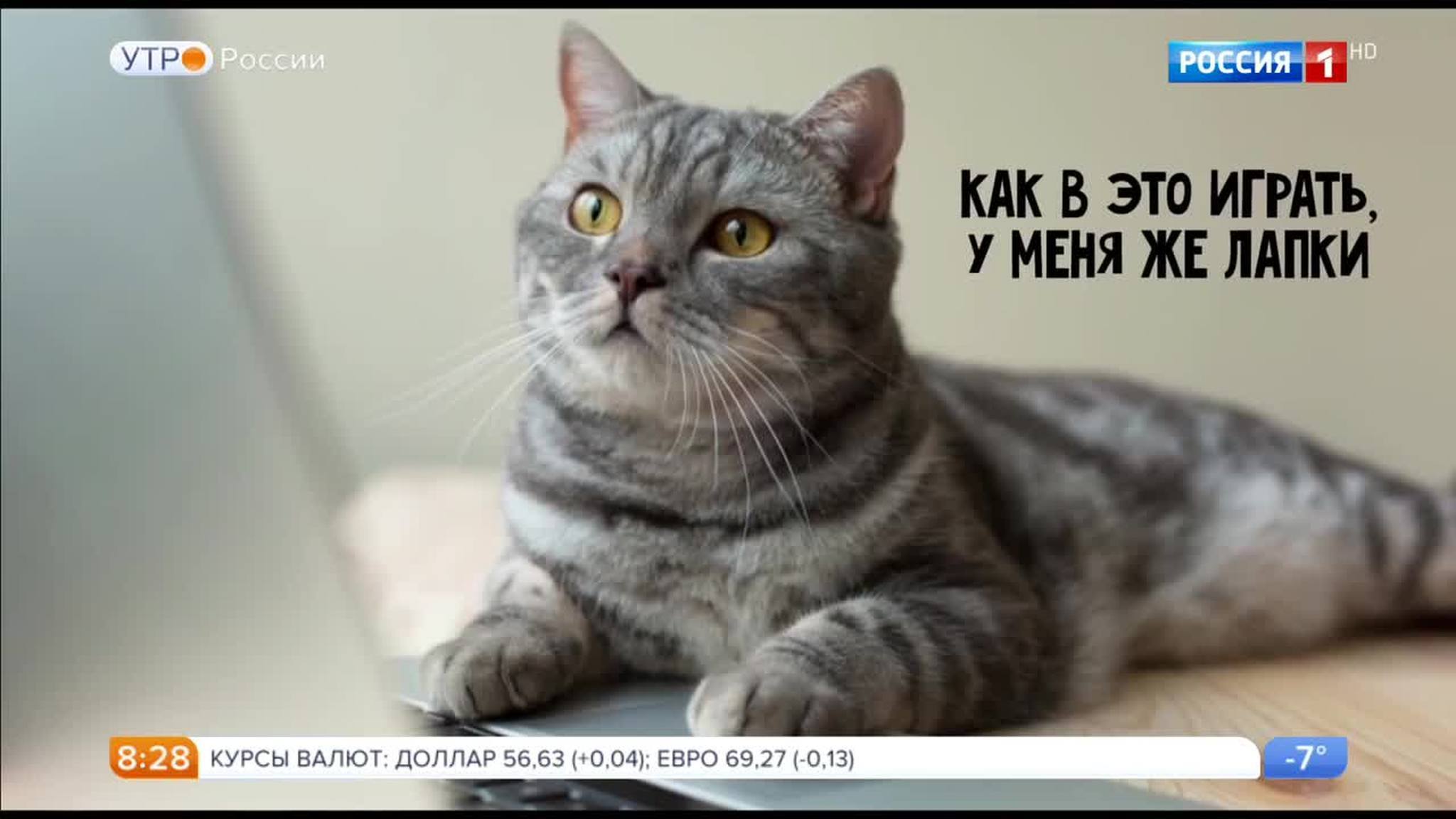 Эфир от 23.01.2018
