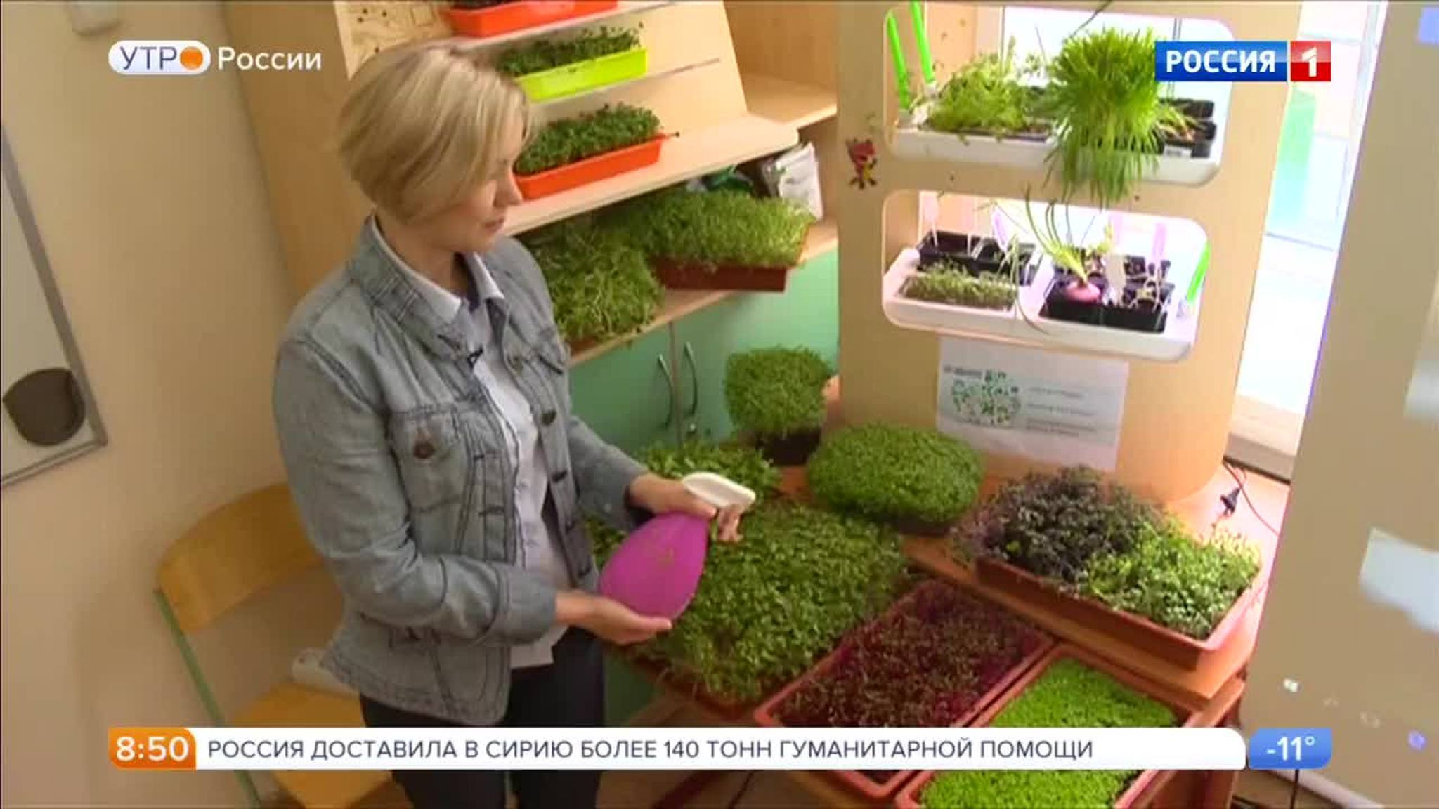 Эфир от 25.01.2018