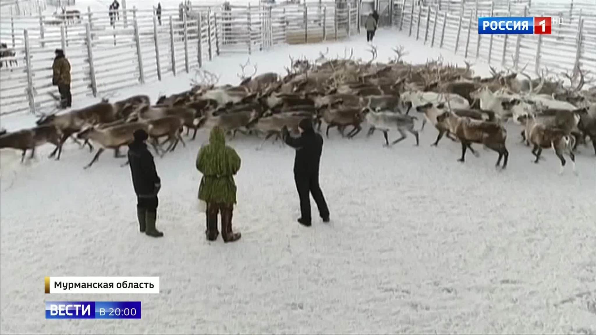 Sami National Day Celebrates the Unique Heritage of the Polar Peoples Living in Russia