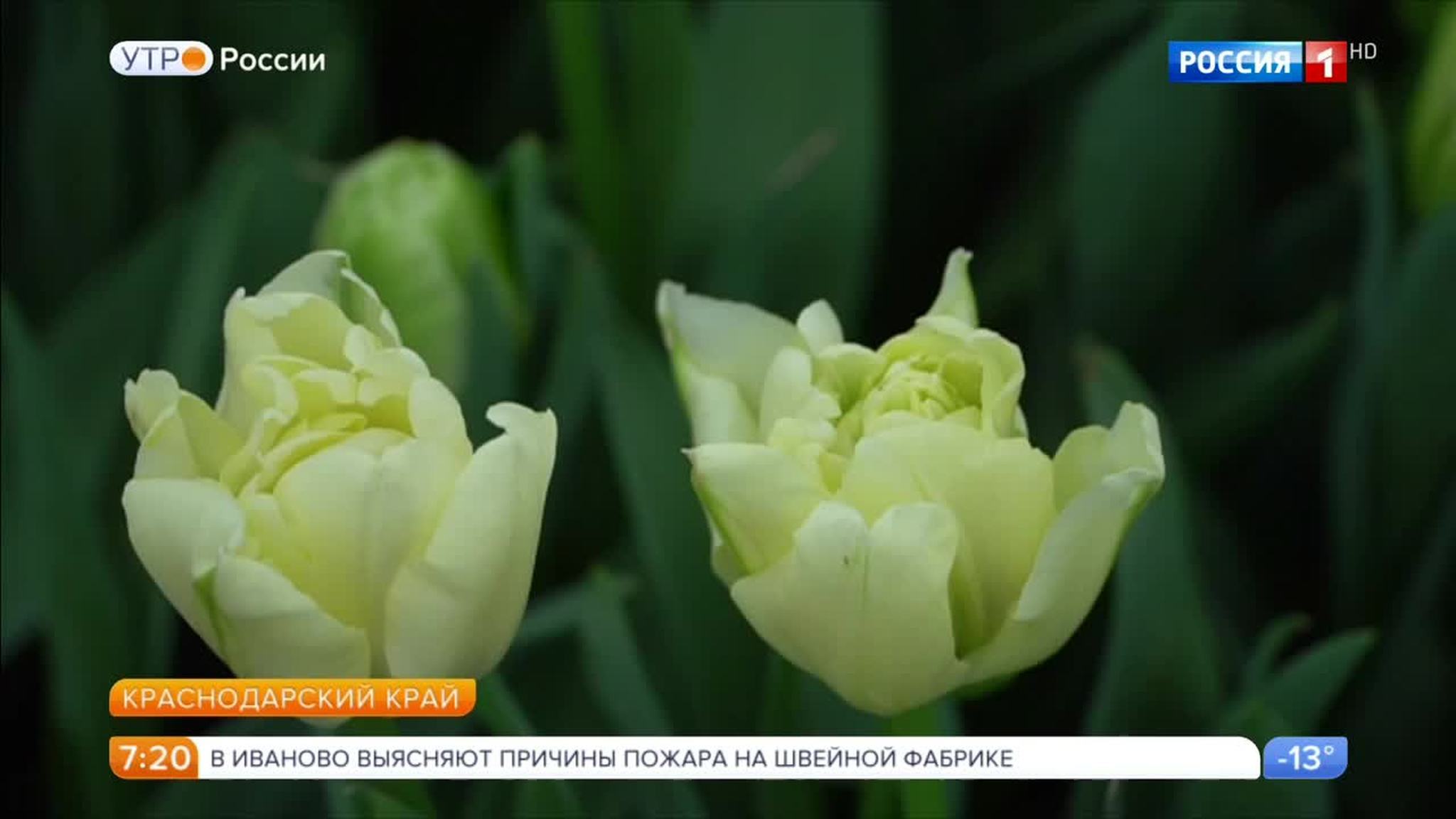 Эфир от 21.02.2018