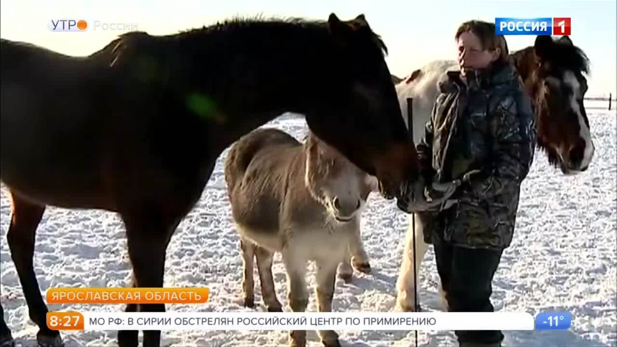 Эфир от 21.02.2018