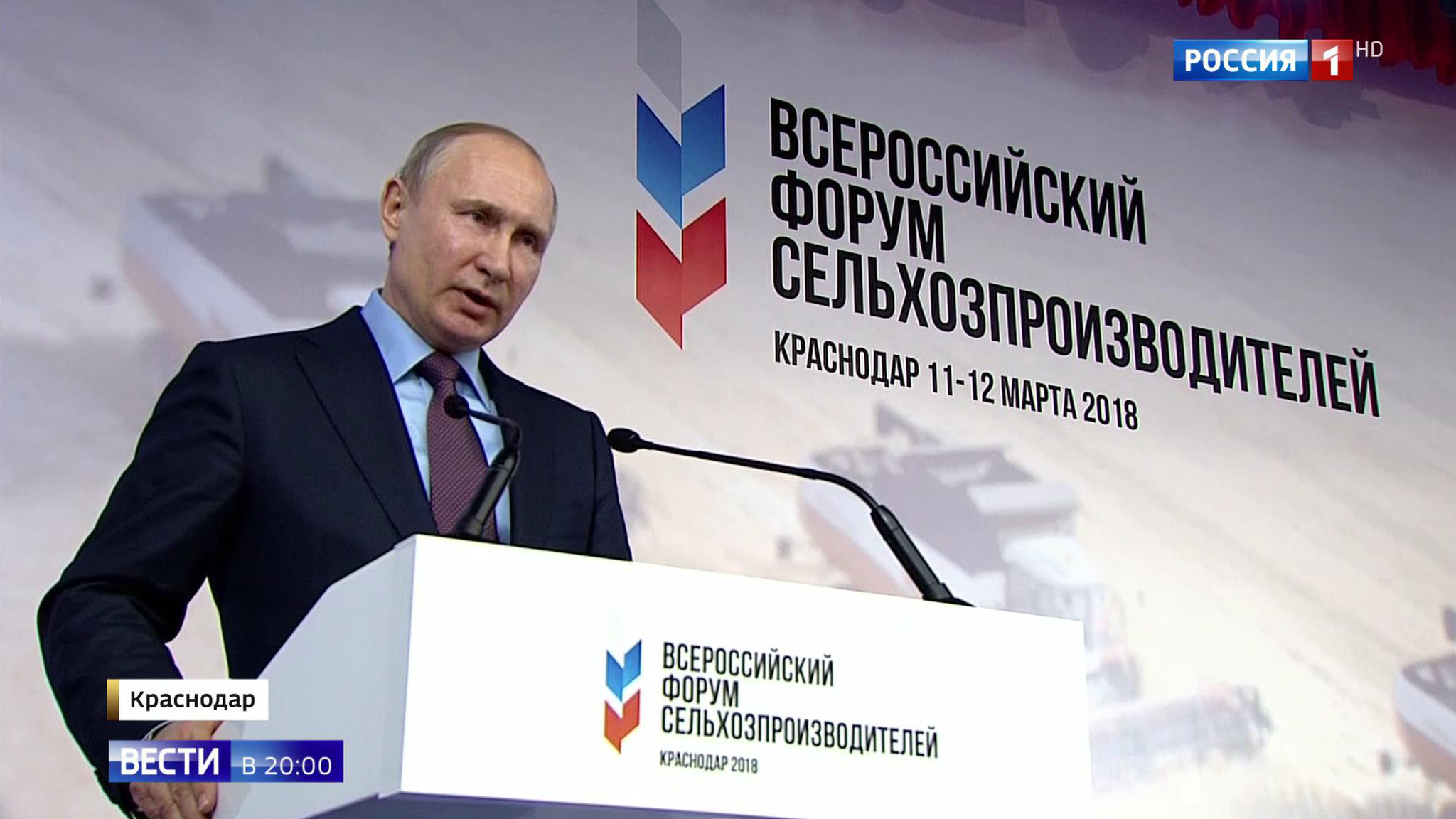 Kuban-Quality Gold Standard Grain! Russia Has Become World Agricultural Leader Again