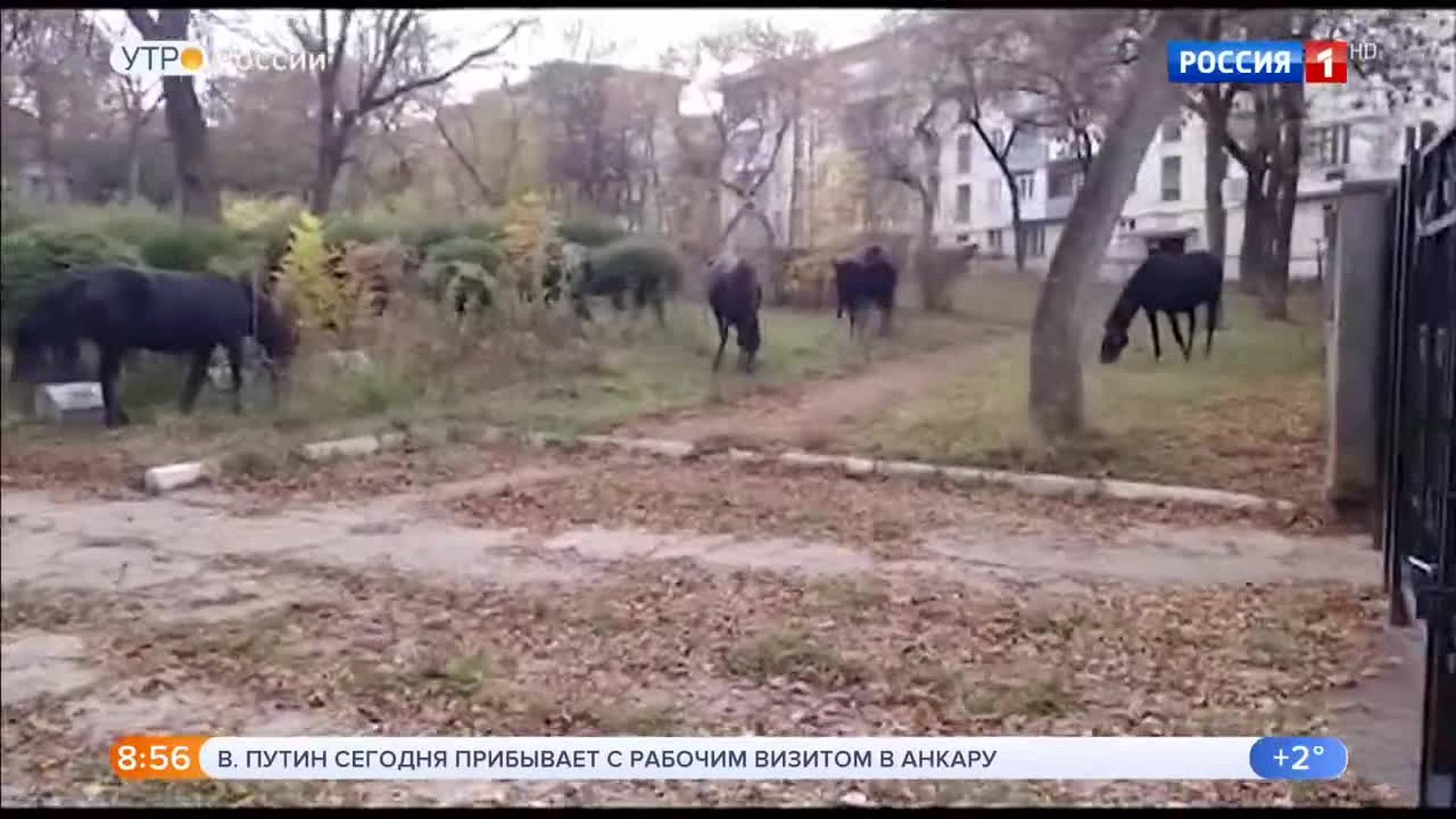 Эфир от 03.04.2018
