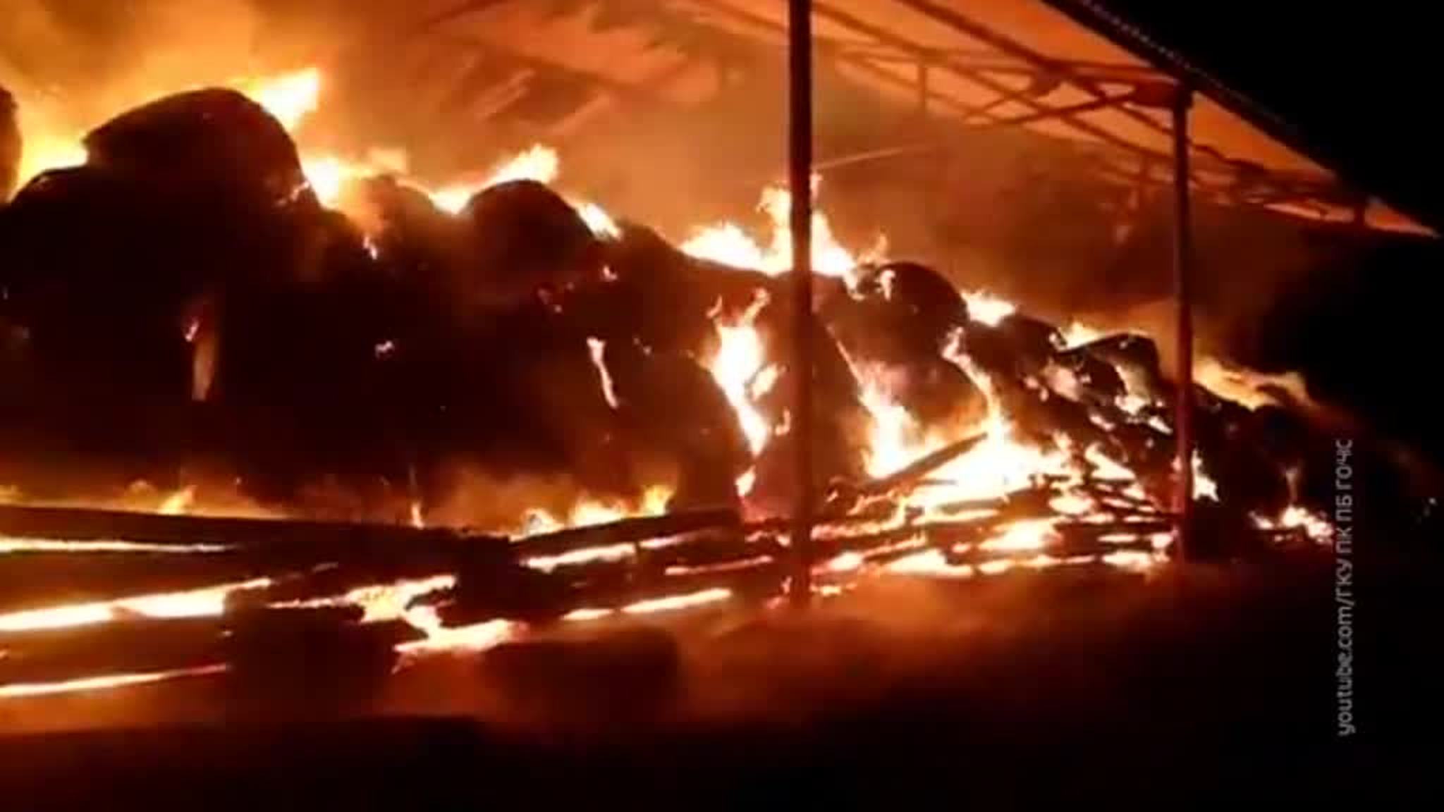 На Дальнем Востоке лесные пожары за сутки охватили более 20 тысячи гектаров