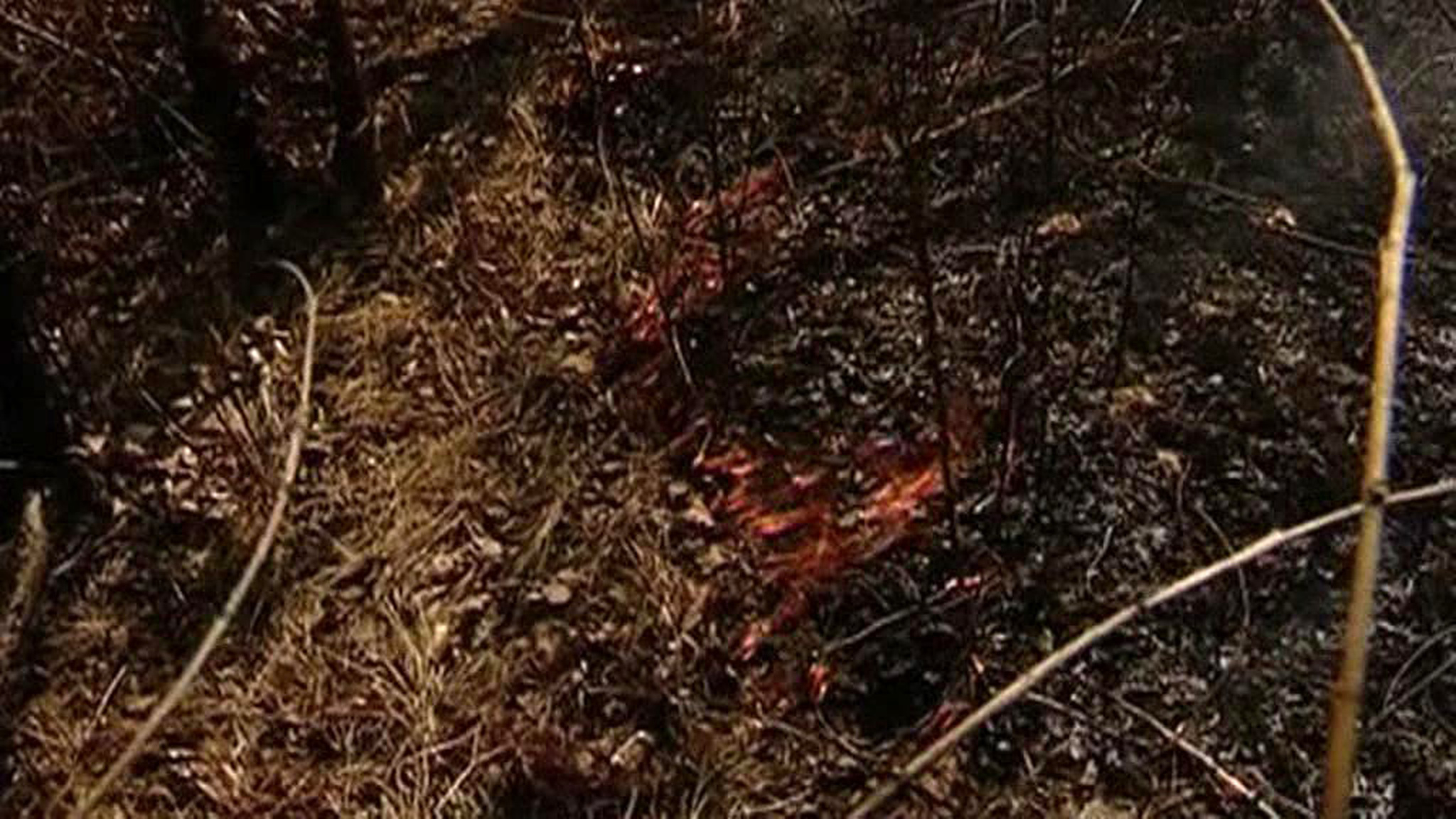 Особый противопожарный режим введен в пяти районах Приморья
