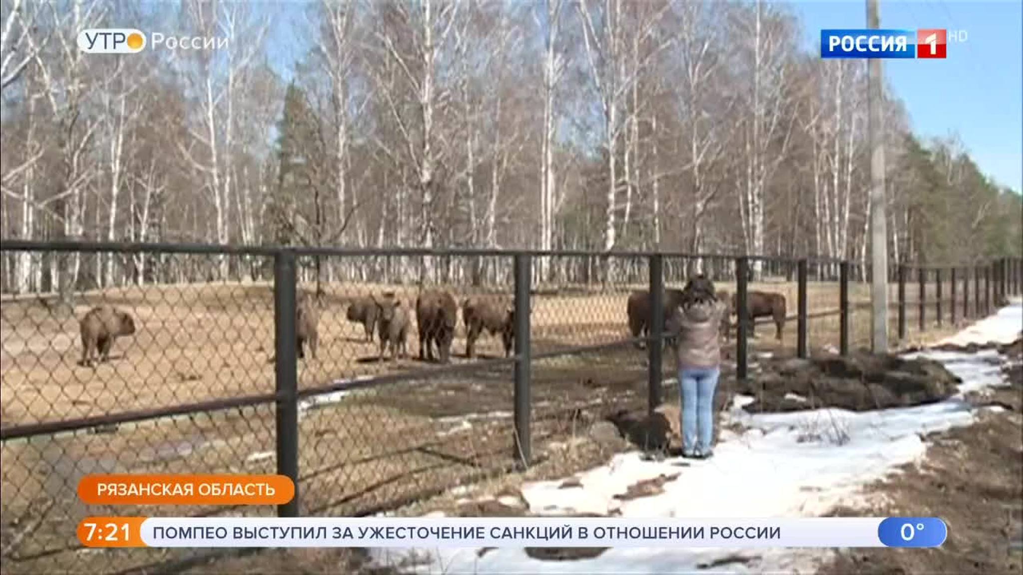 Эфир от 13.04.2018