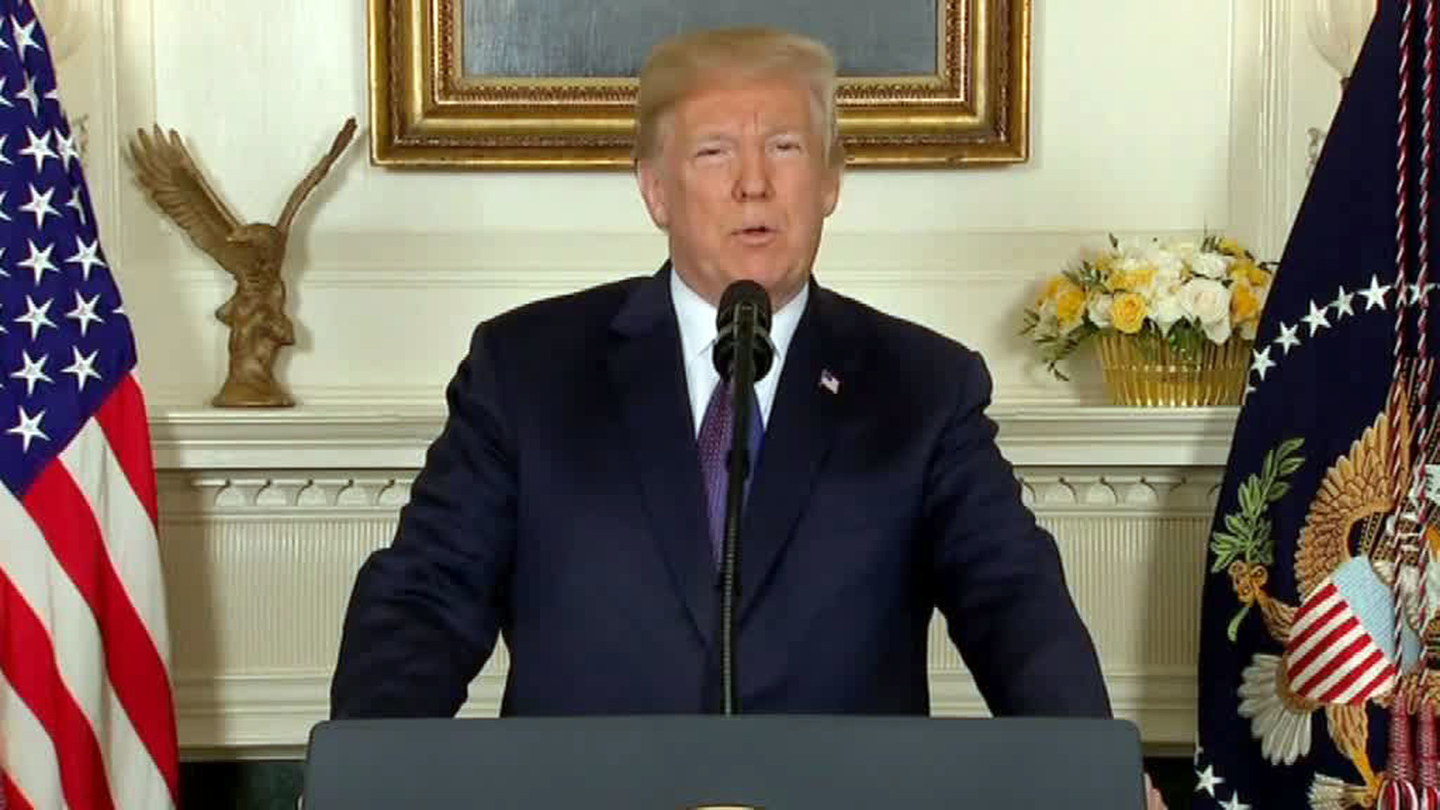 Дональд Трамп объявил о нанесении ударов по Сирии
