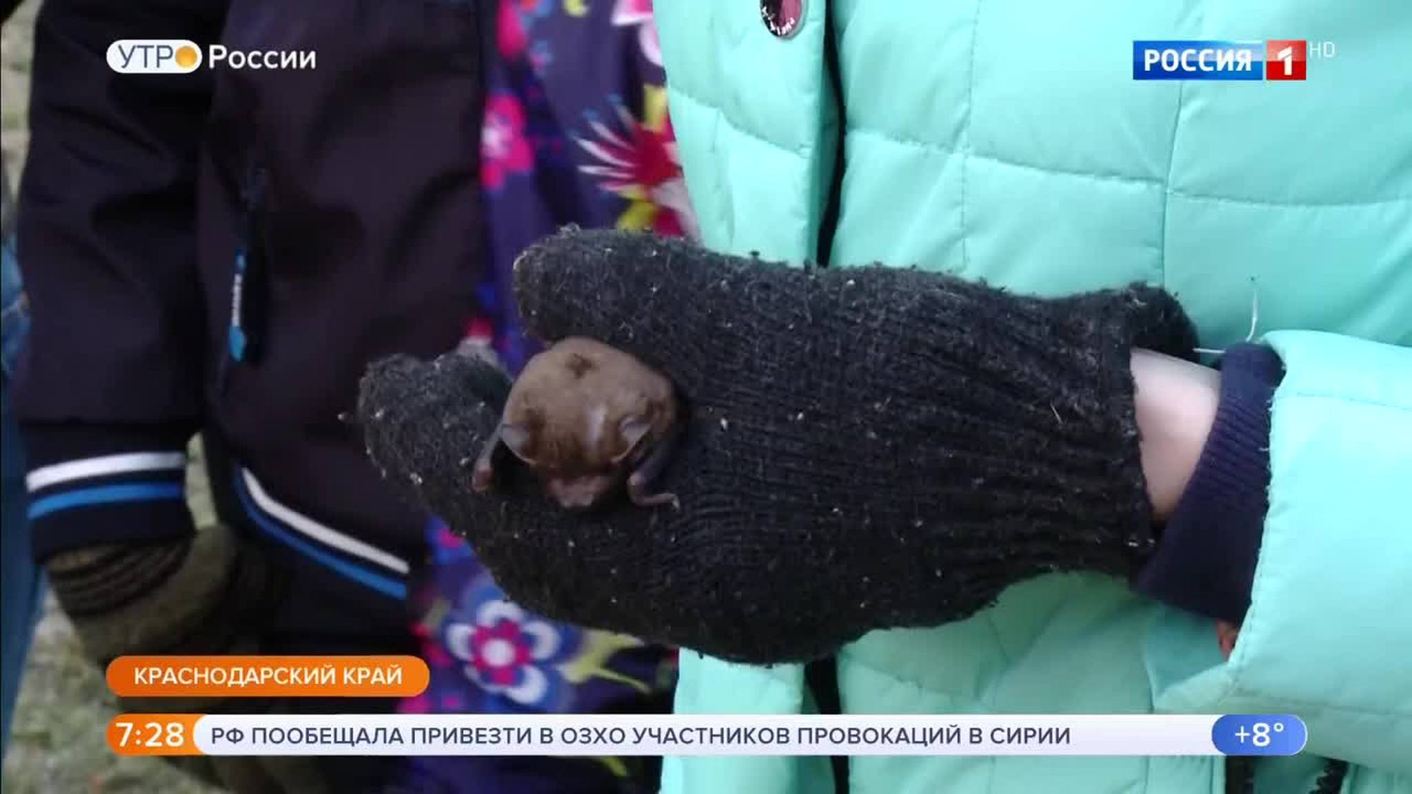 Эфир от 17.04.2018