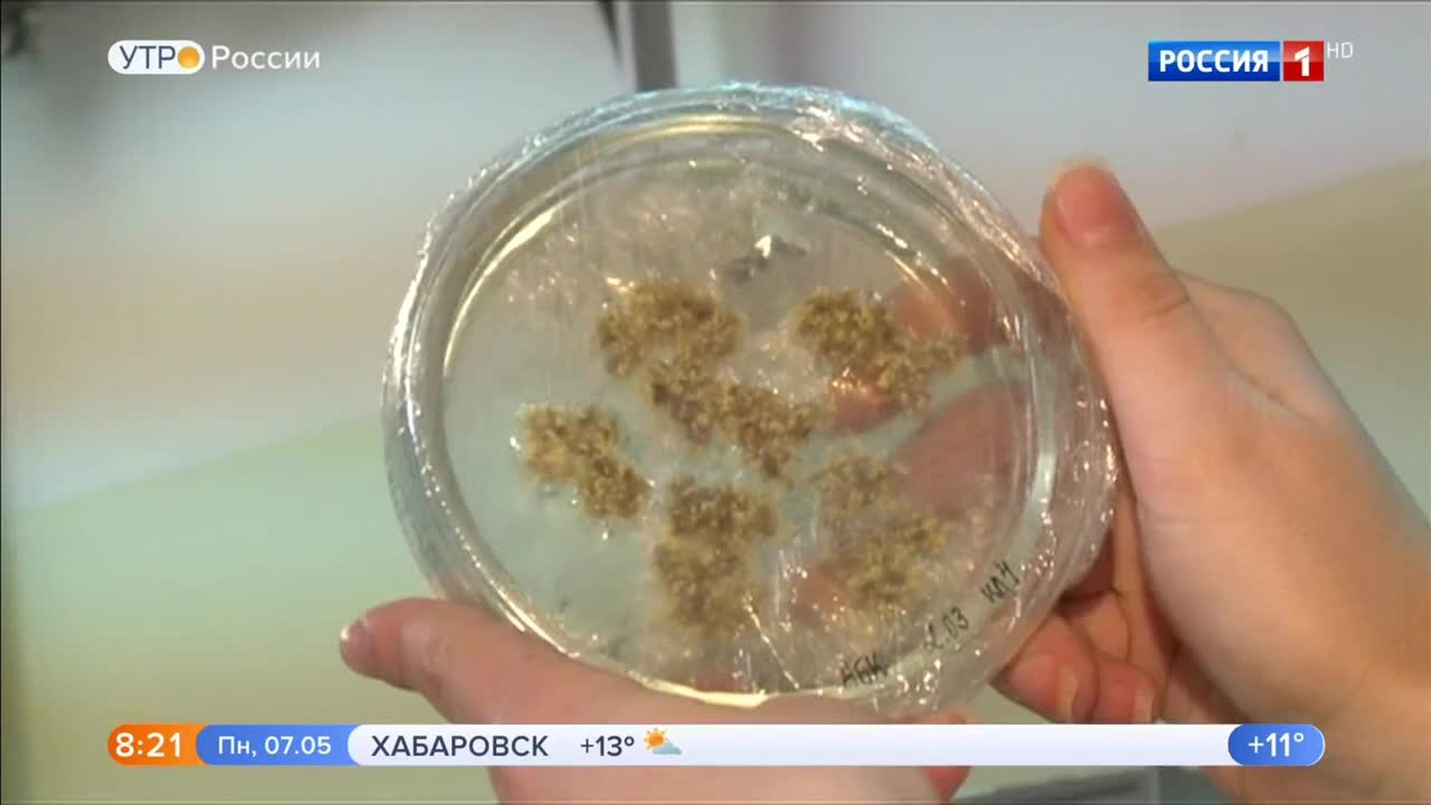 Эфир от 07.05.2018