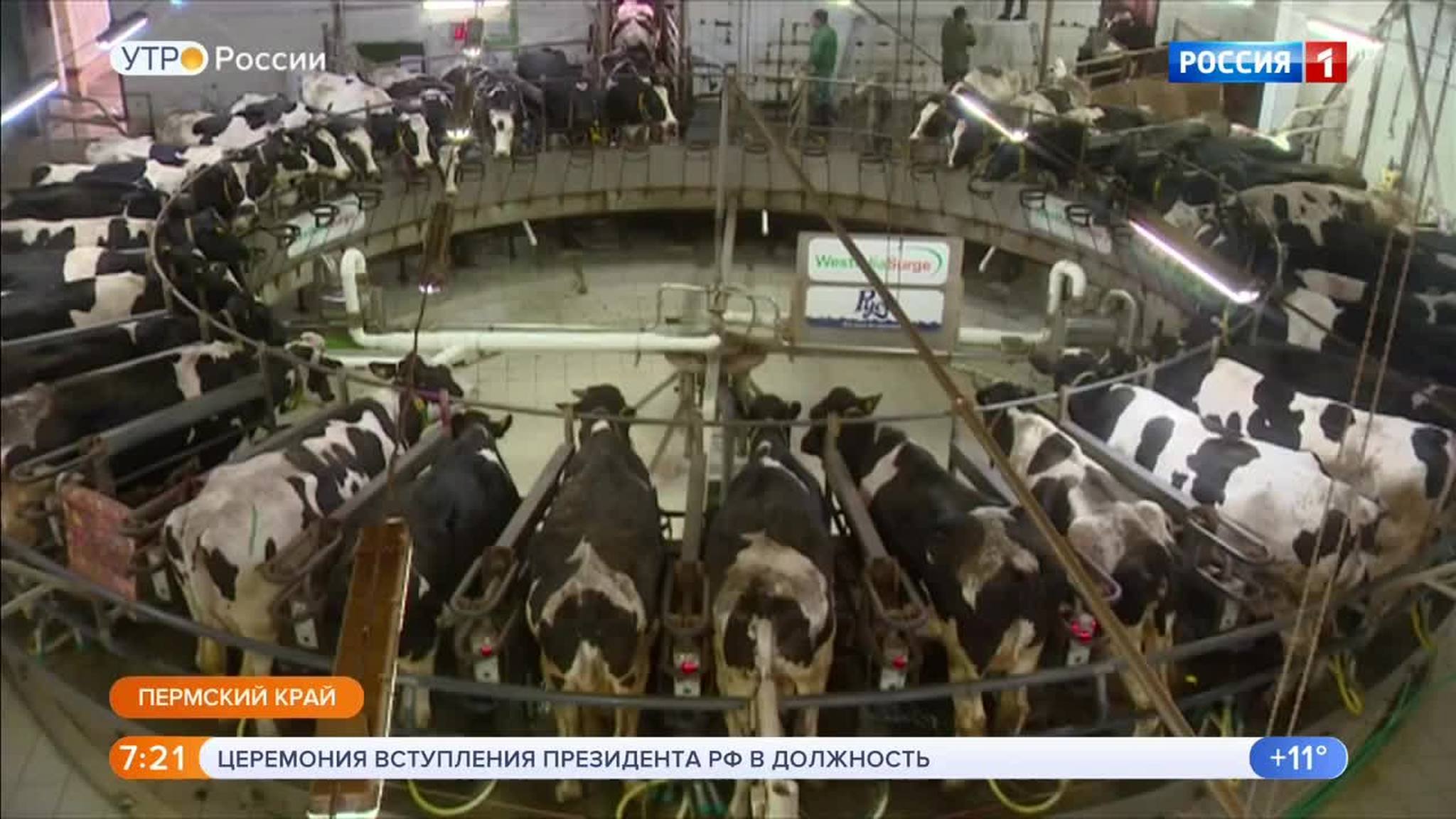 Эфир от 07.05.2018