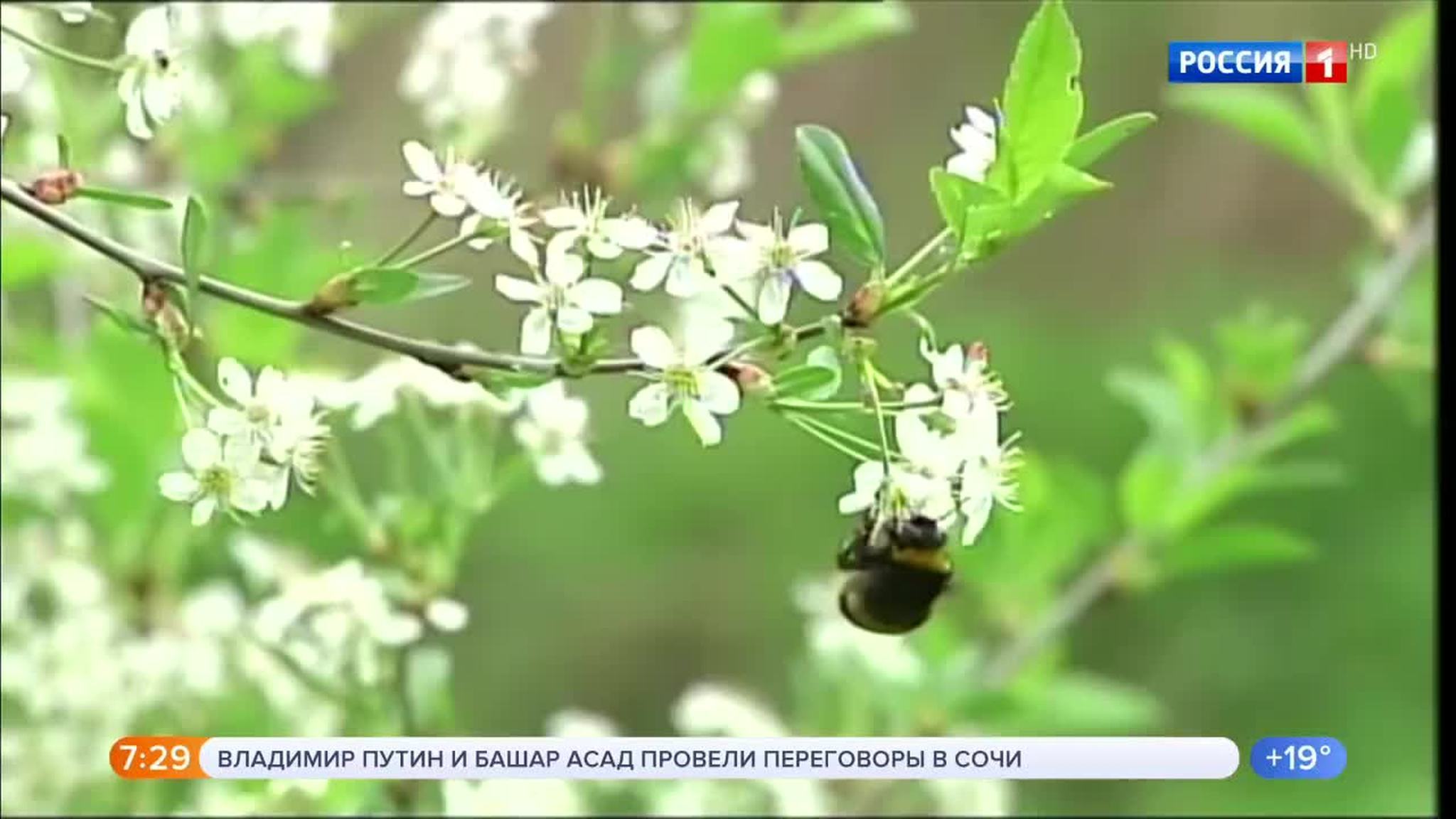 Эфир от 18.05.2018
