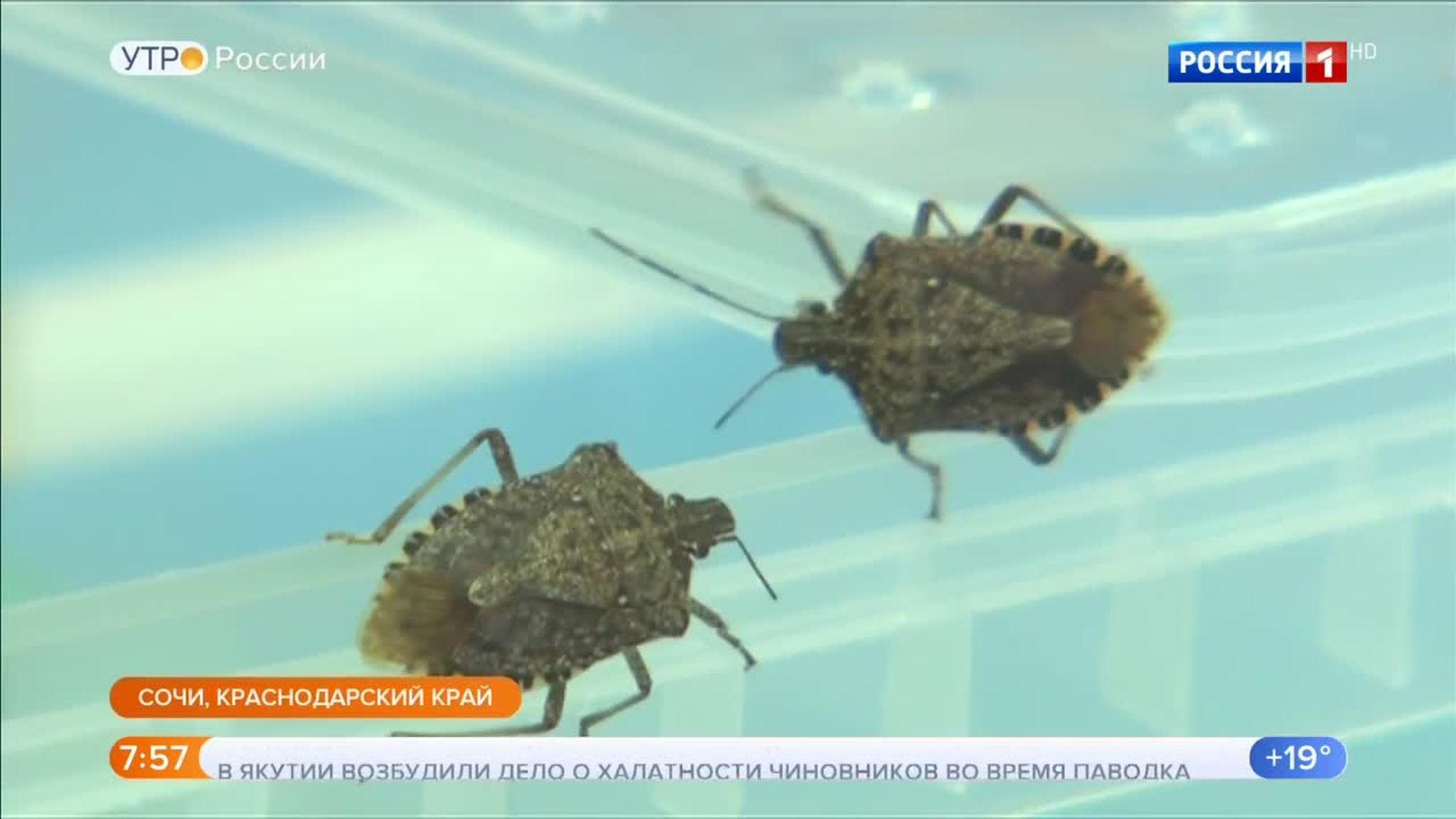 Эфир от 18.05.2018