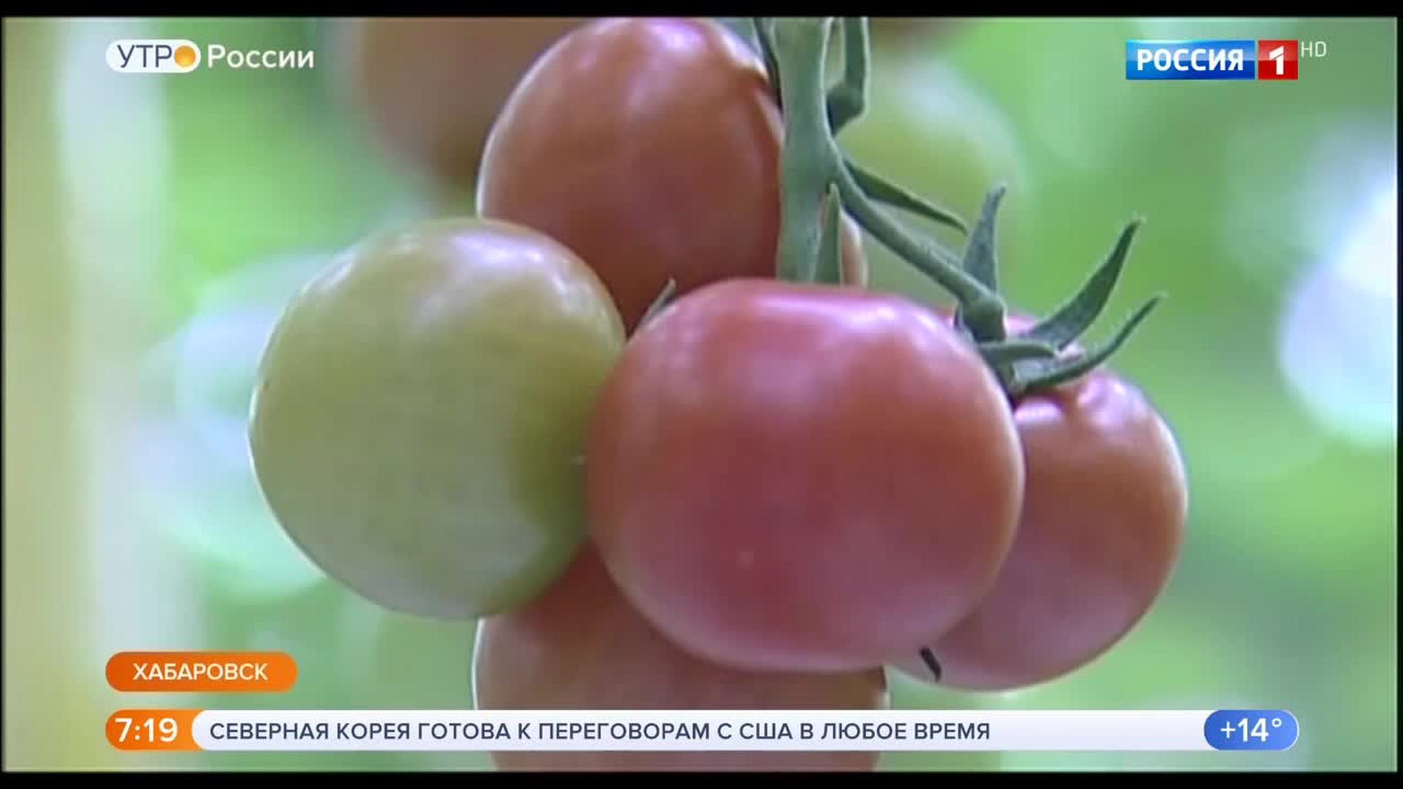 Эфир от 25.05.2018