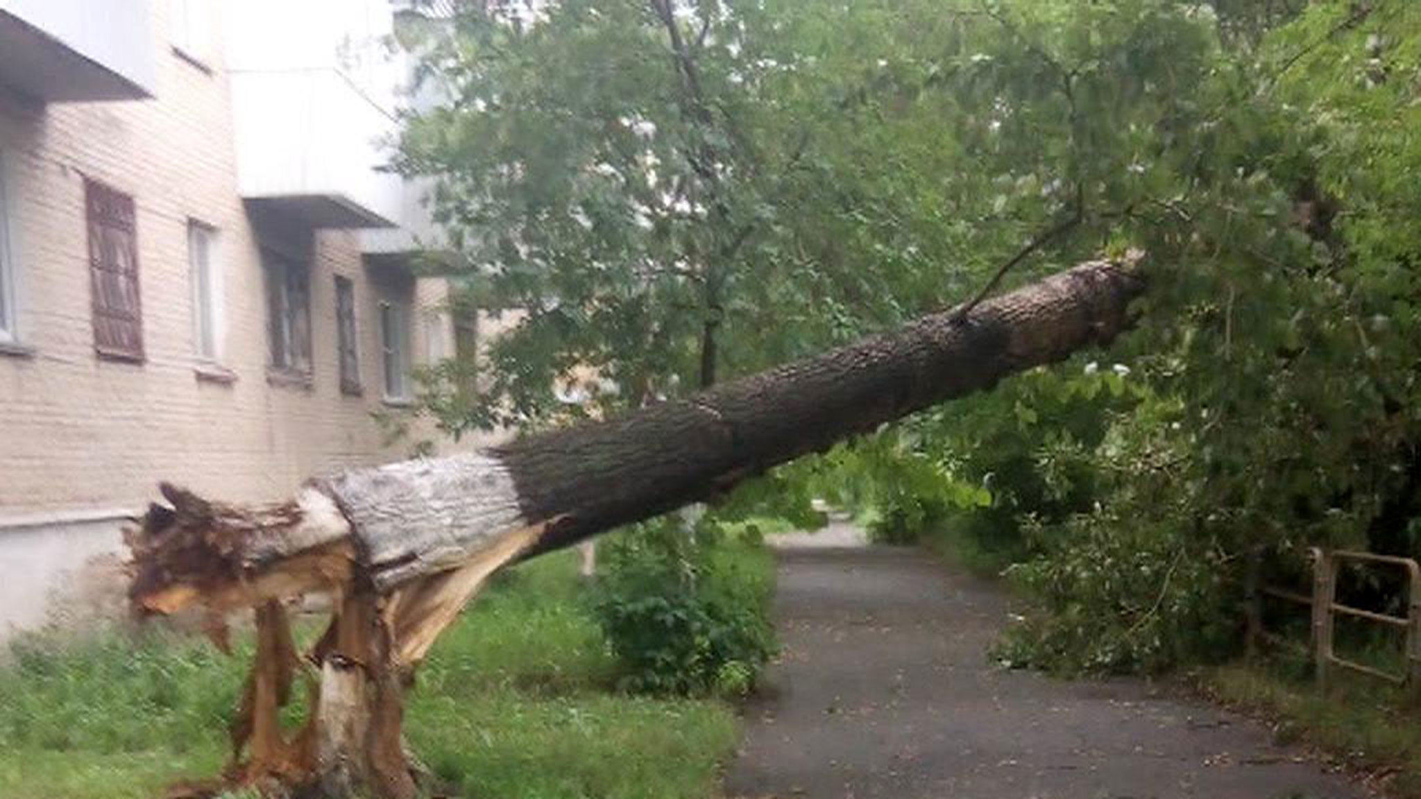В Челябинске во время сильного ливня на дороге утонула фура