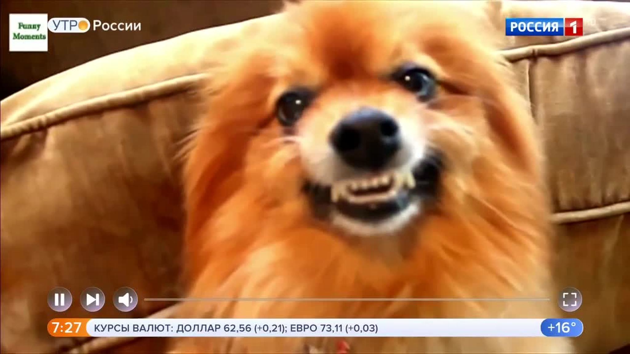 Эфир от 02.08.2018