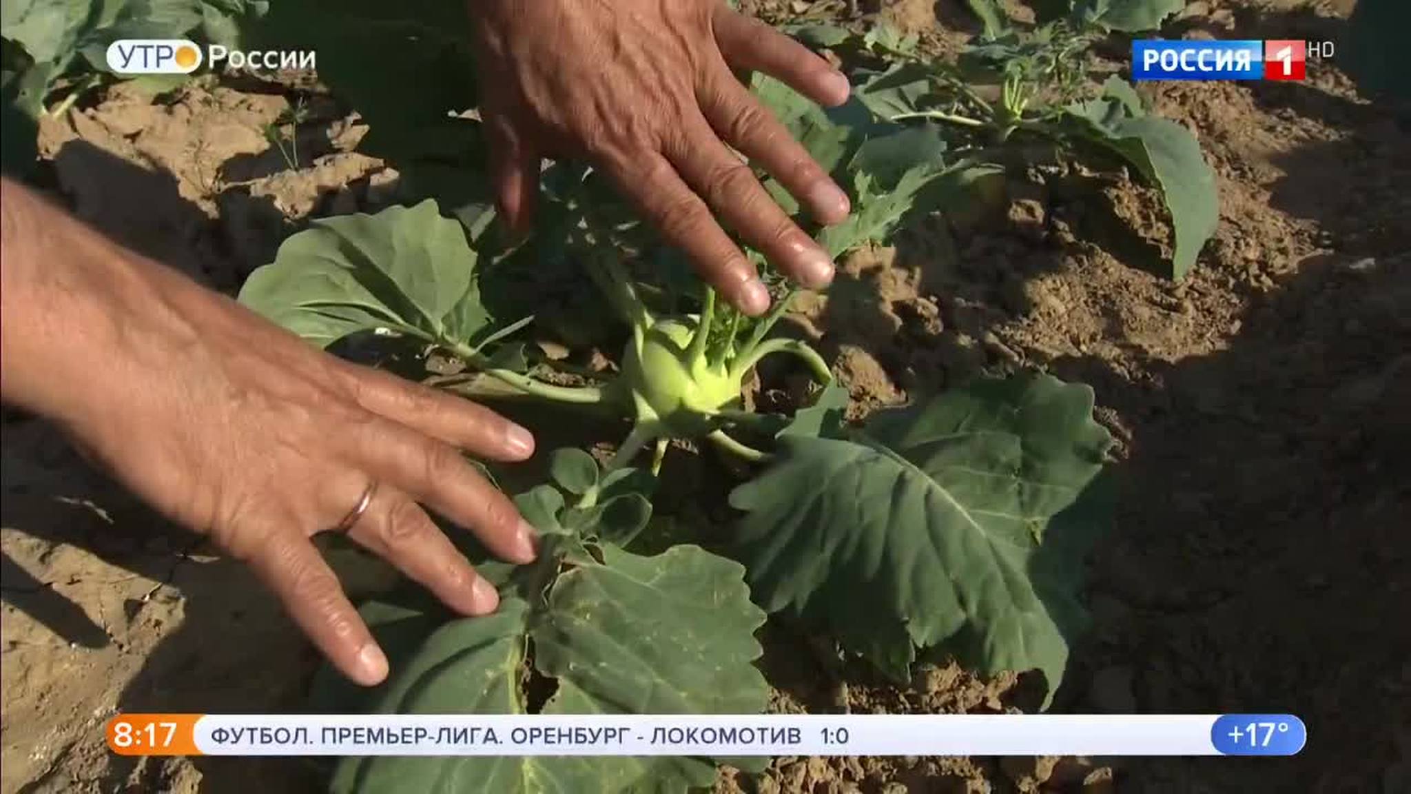 Эфир от 13.08.2018