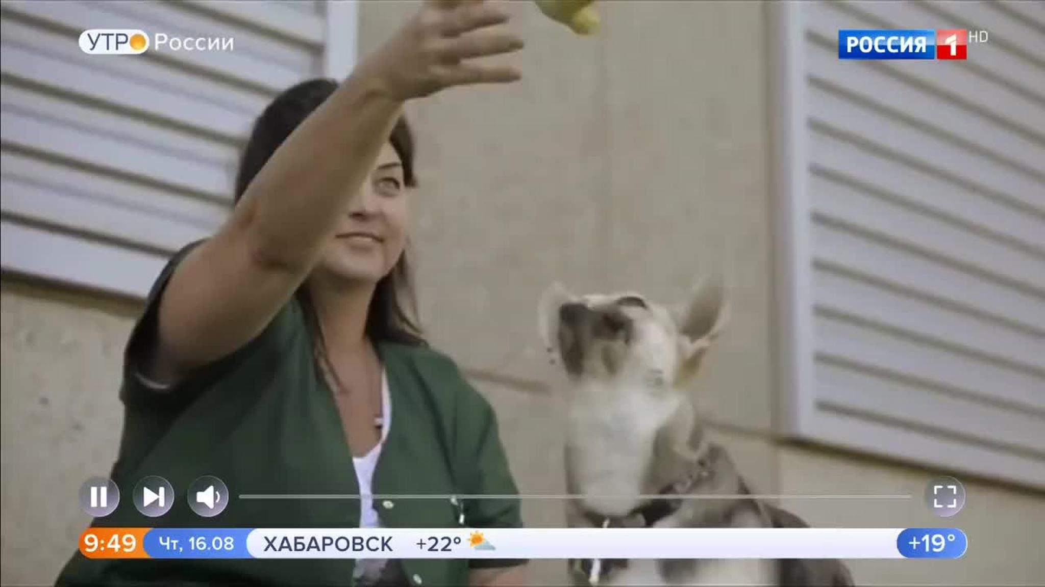 Эфир от 16.08.2018
