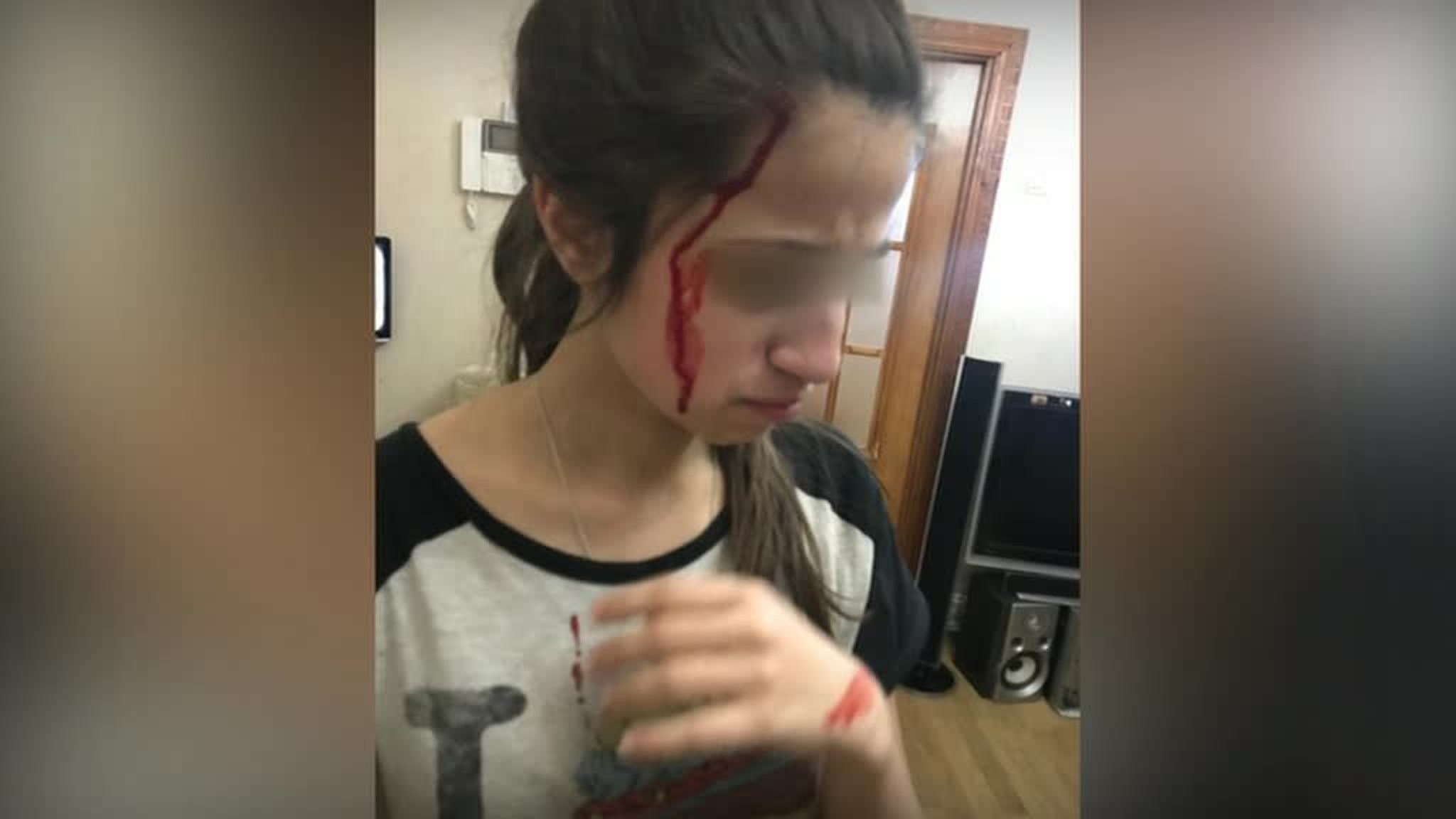 Мать сестер Хачатурян показала снимки, которыми девочки не делились в соцсетях
