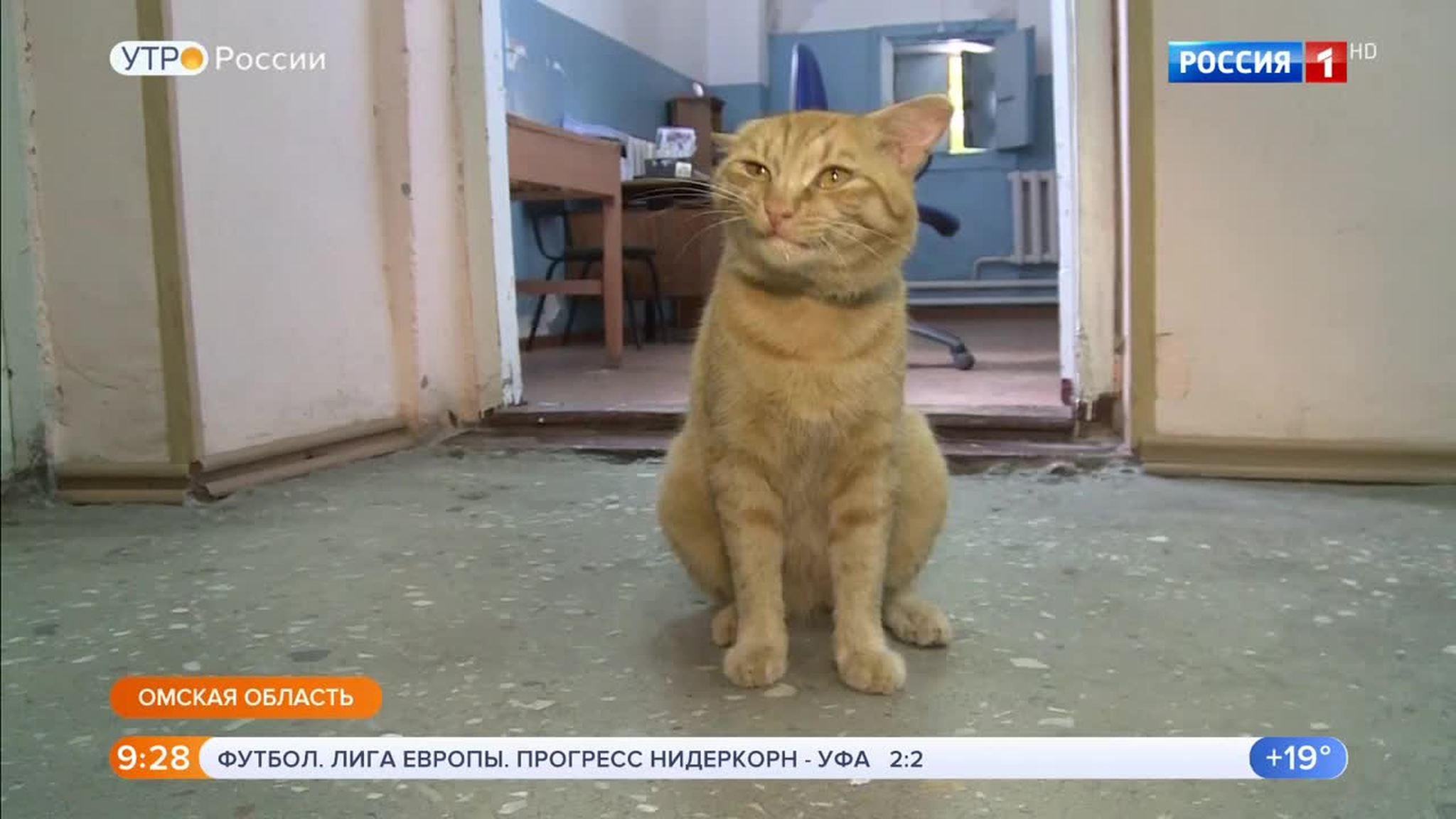 Эфир от 17.08.2018