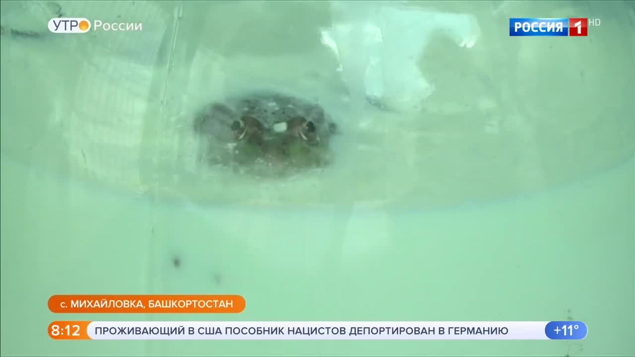 Эфир от 22.08.2018